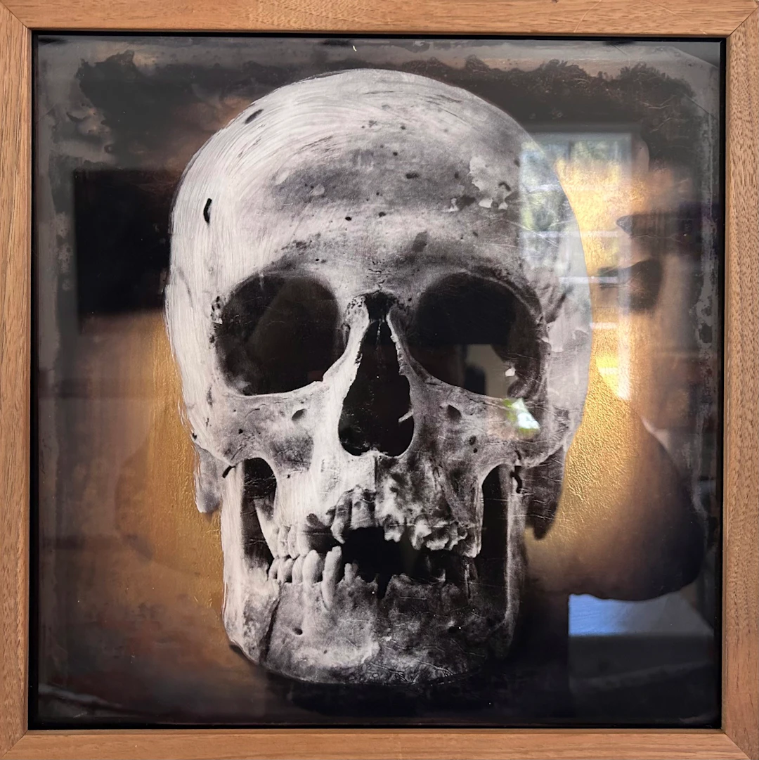 Scull - Casper Faassen