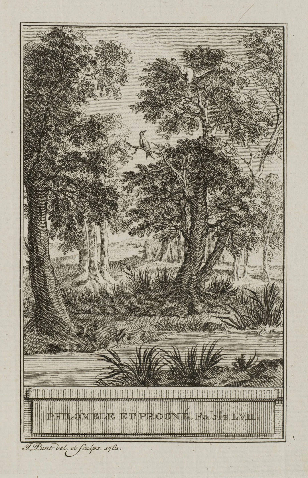 J. PUNT (1711–1779), Birds in the Forest, 1761, Etching Jan Punt (1711–1779):