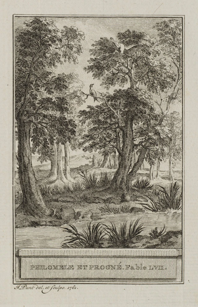 J. PUNT (1711–1779), Birds in the Forest, 1761, Etching Jan Punt (1711–1779):