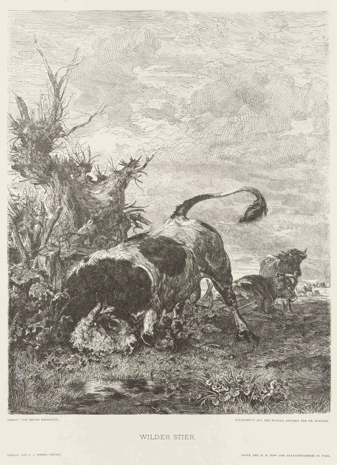 T. KNESING (*1840) after WEISHAUPT (*1848), Depiction of an animal.