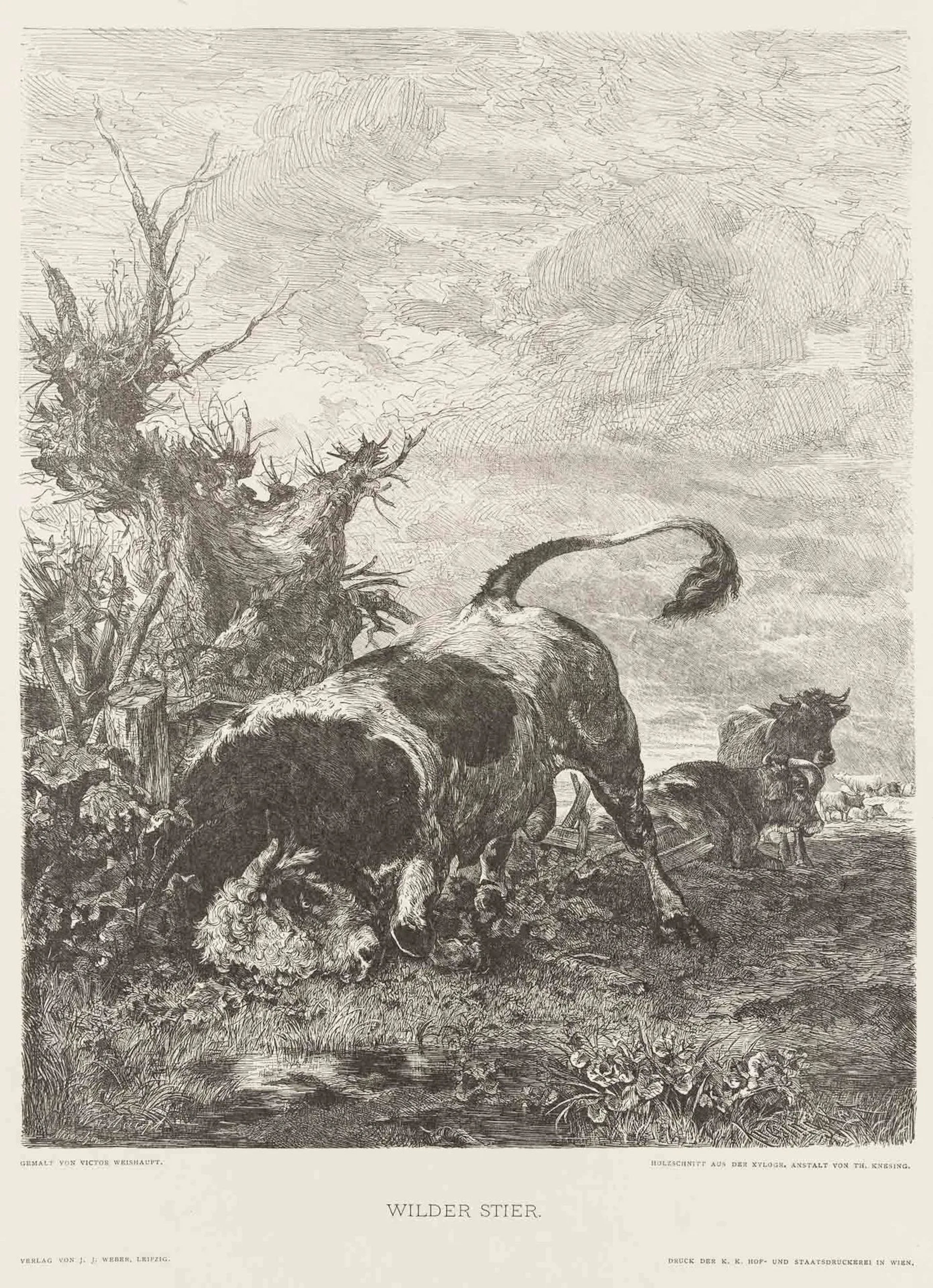 T. KNESING (*1840) after WEISHAUPT (*1848), Depiction of an animal.