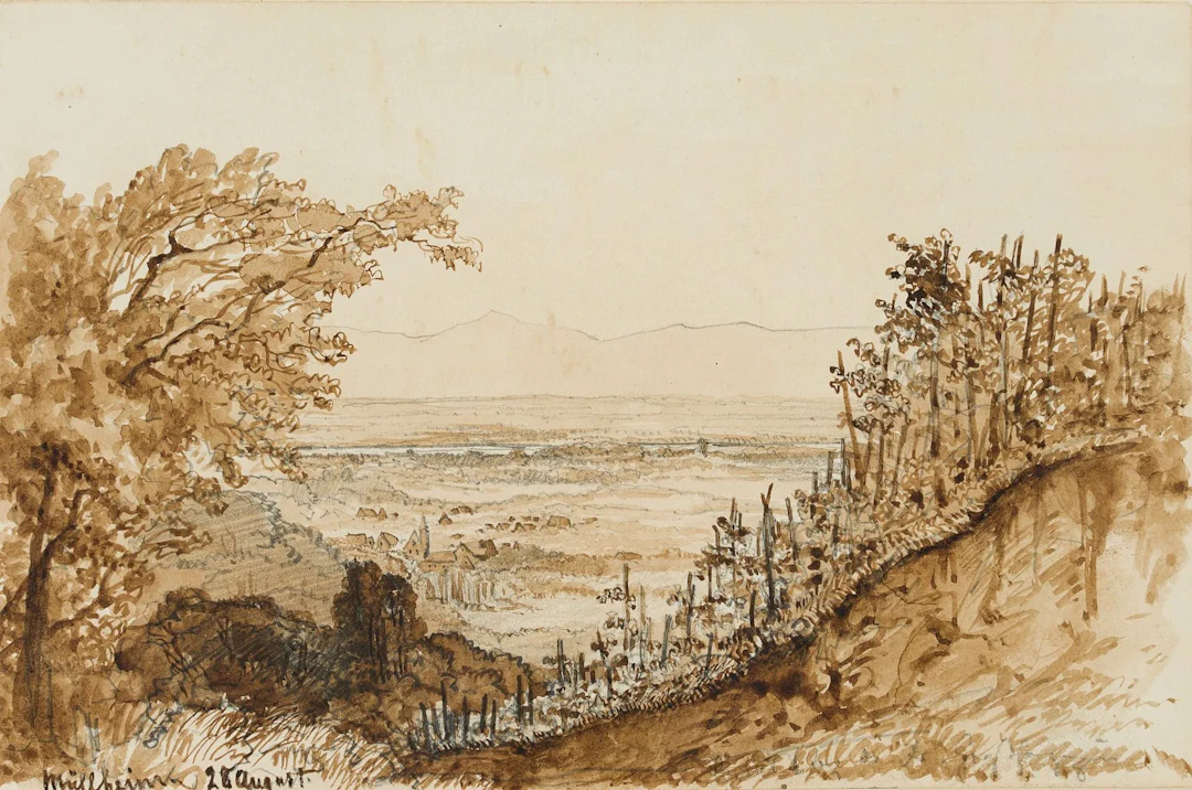 M. SAVIGNY (1831–1905), Vineyards in the Markgräflerland region, ca.