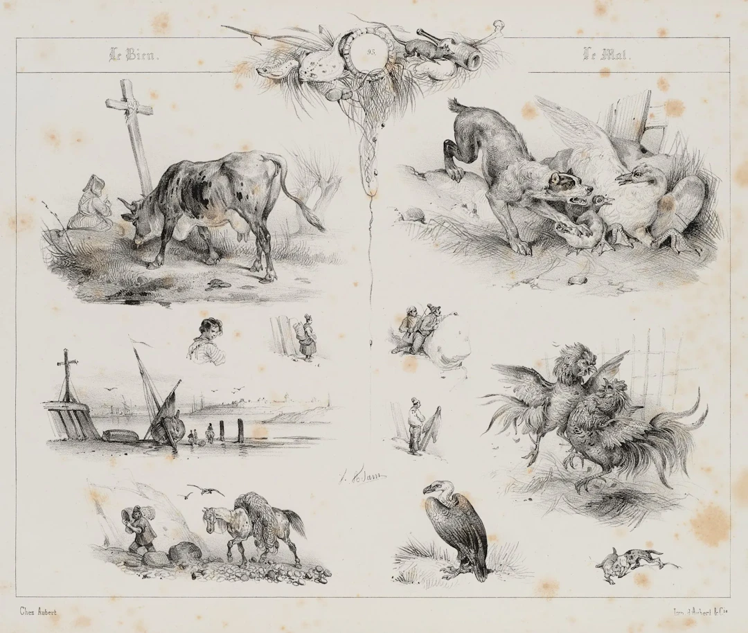 V. ADAM (1801–1866), A picture showing various animals, Lithograph