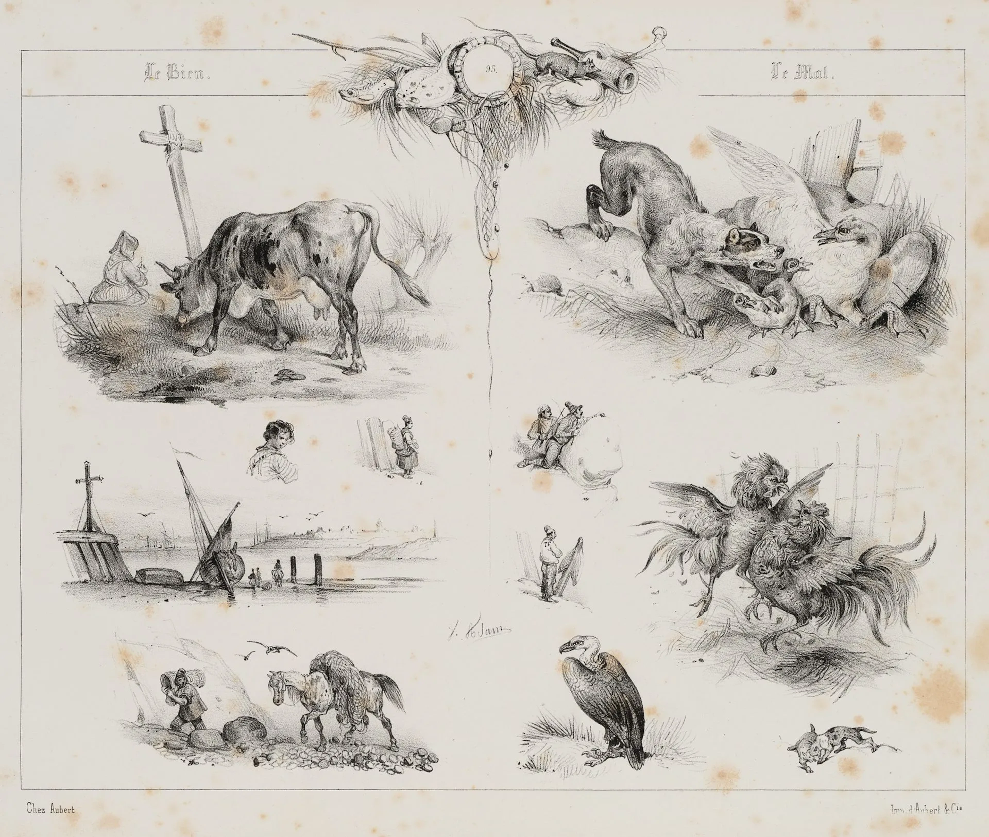 V. ADAM (1801–1866), A picture showing various animals, Lithograph