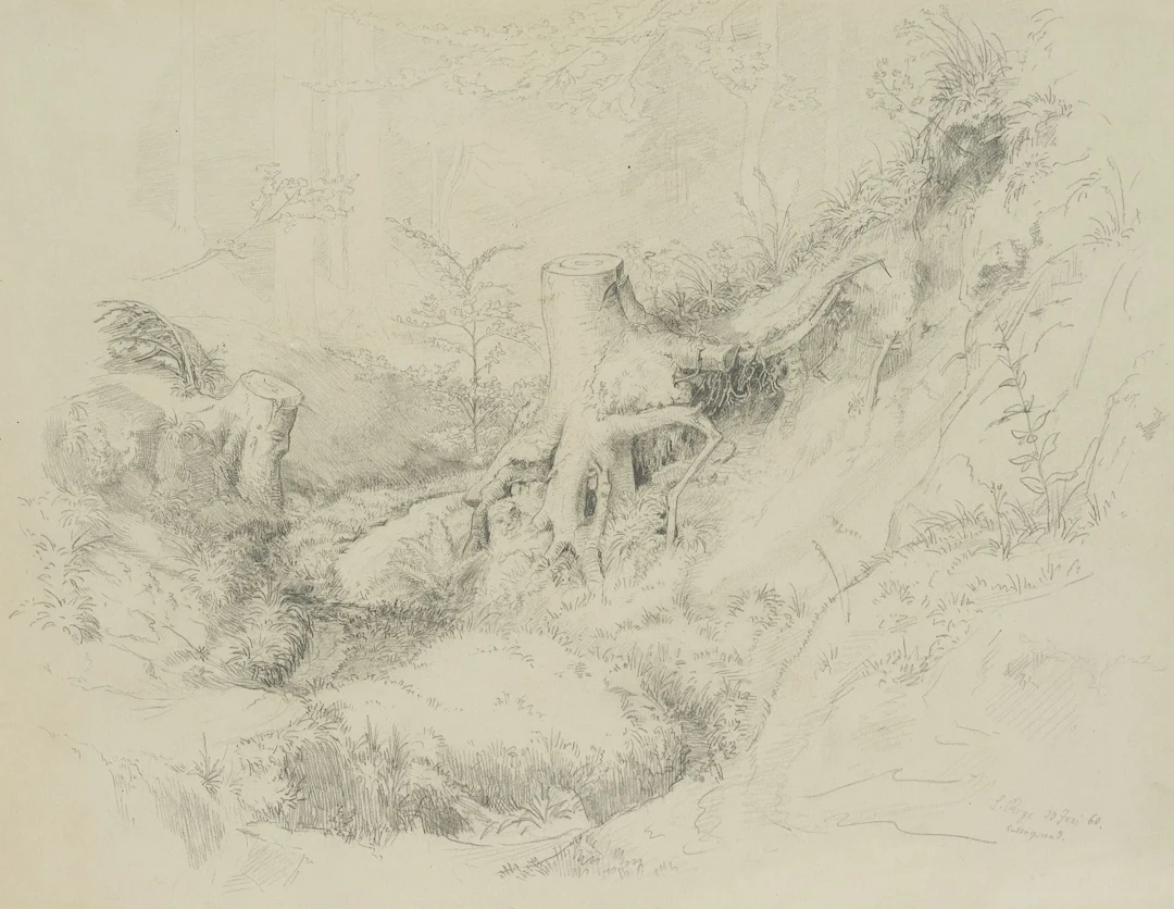 S. RUGE (1831–1903), A Little Stream in Eulengrund, Radebeul, 1860