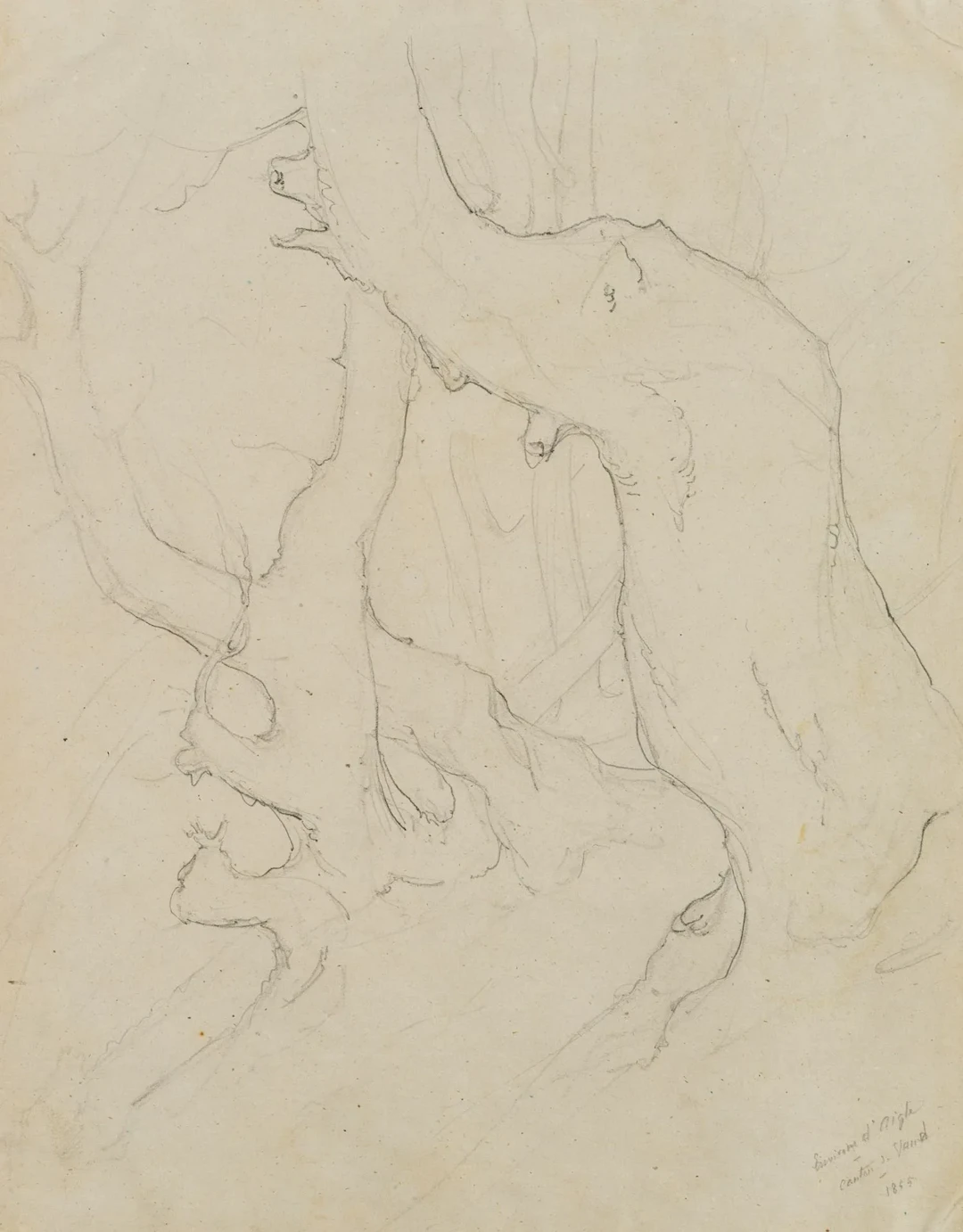 E. BRETENIÈRES (*1804), Tree sculptures near Aigle in the canton of