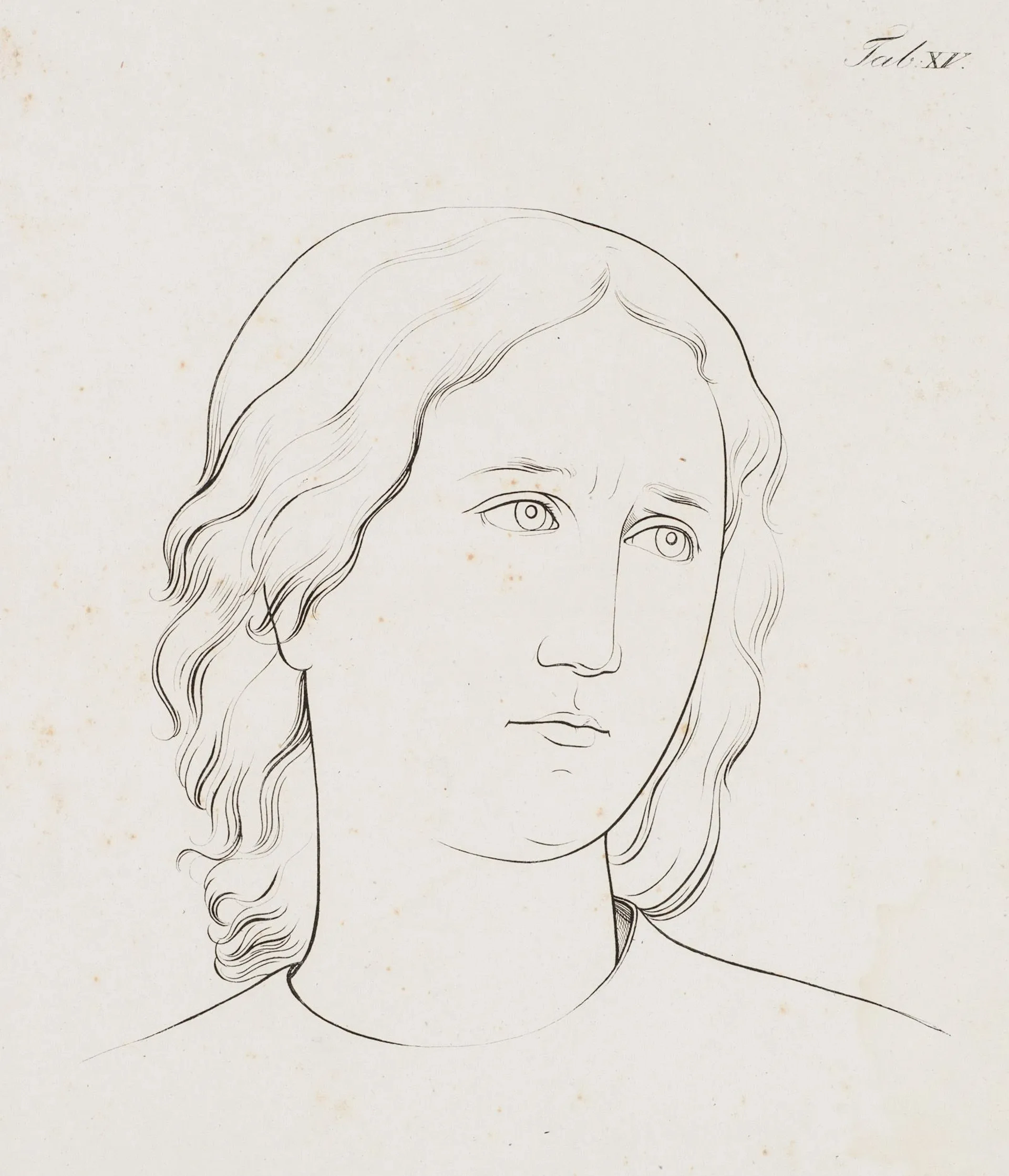 After RAFFAEL (*1483), Head portrait of a young man, Etching After