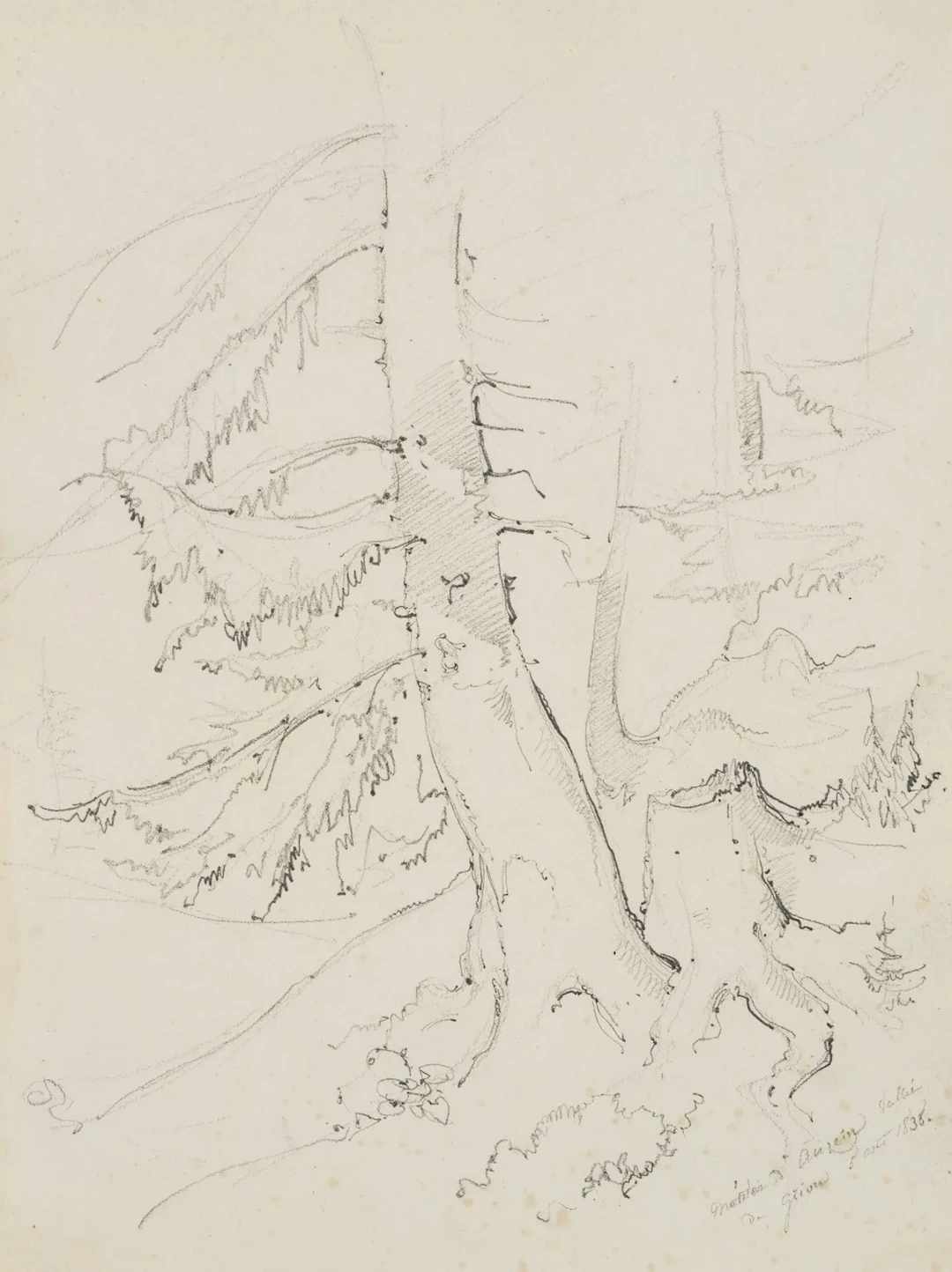 E. BRETENIÈRES (*1804), Tree near Les Diablerets, Gryon, Switzerland