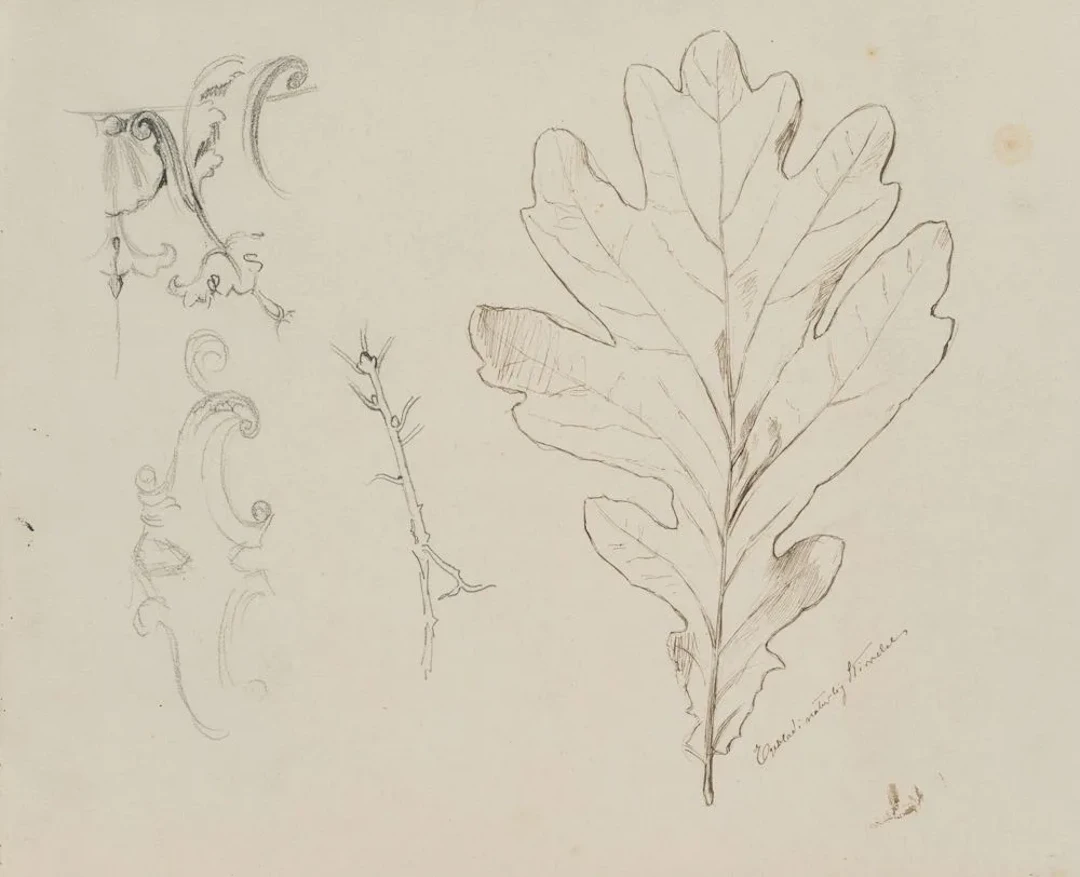 E. RONDAHL (1858-1914), Study of an oak leaf, around 1880, Pen drawing