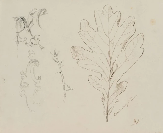 E. RONDAHL (1858-1914), Study of an oak leaf, around 1880, Pen drawing