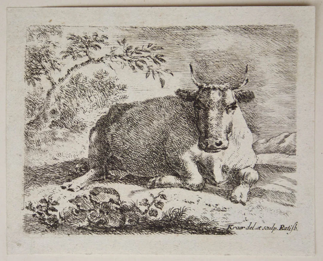 J. KRAER (1711–1771), Reclining Cow, 1711, etching Johann Georg Kraer