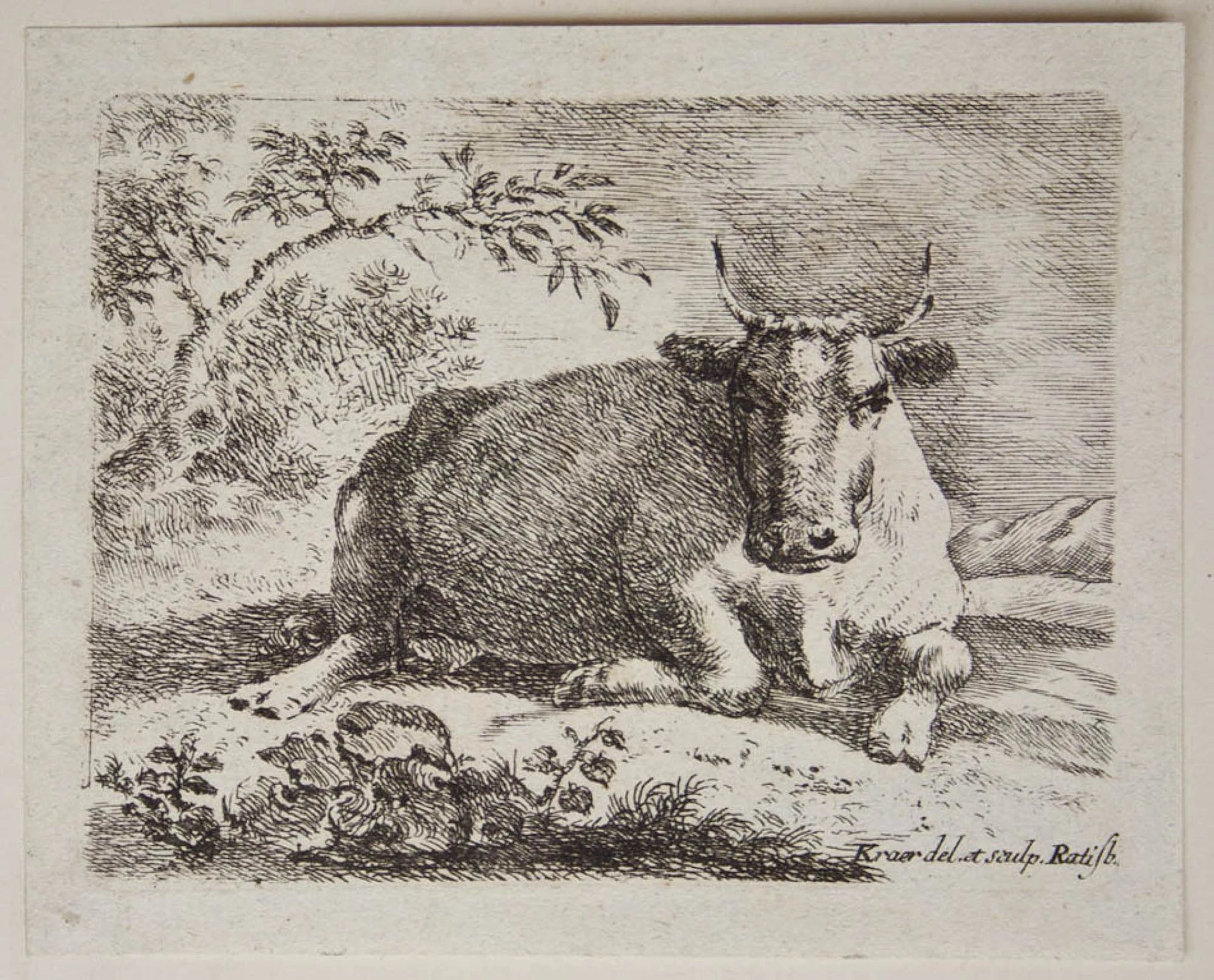 J. KRAER (1711–1771), Reclining Cow, 1711, etching Johann Georg Kraer