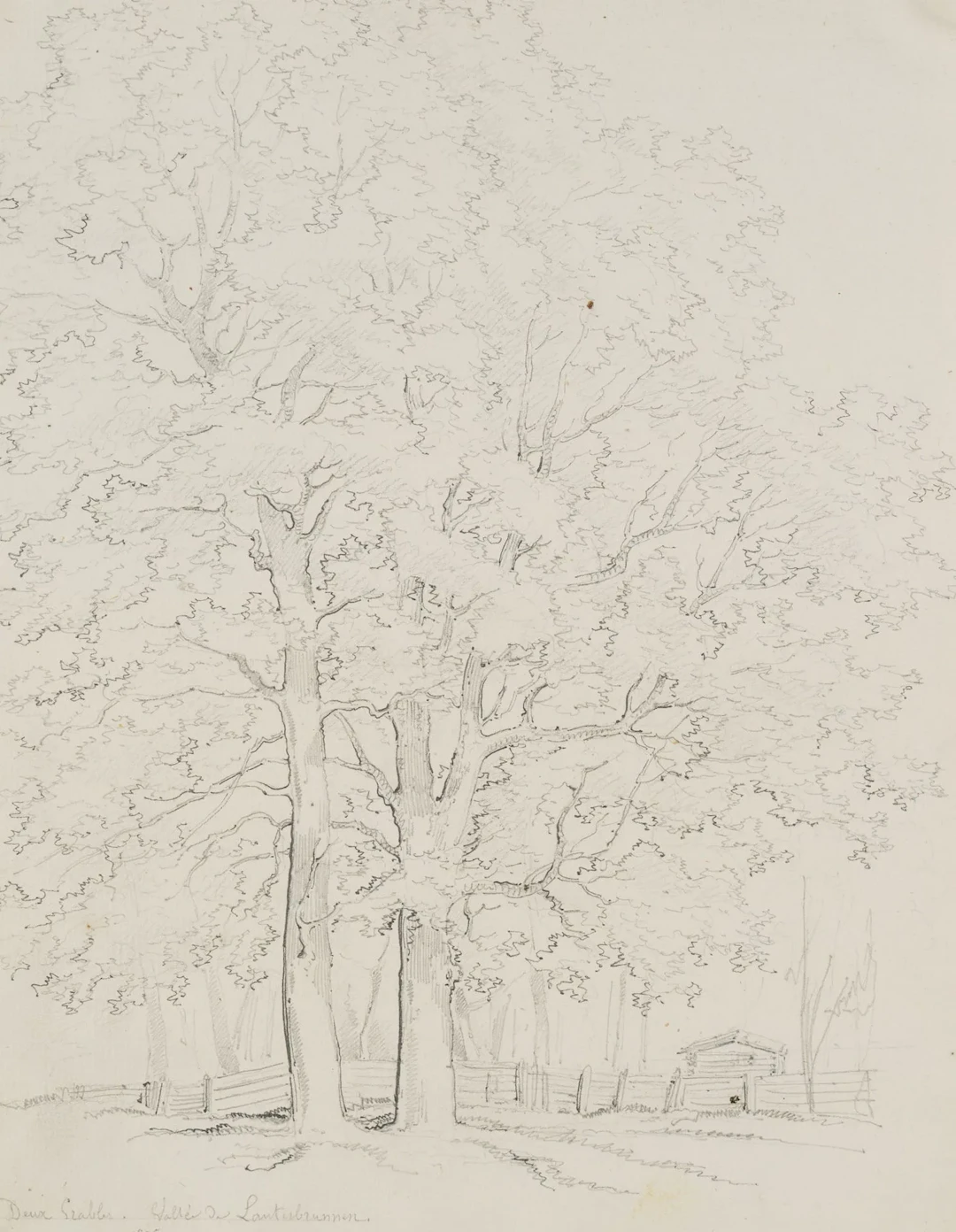 E. BRETENIÈRES (*1804), Trees in the Lauterbrunnen Valley, Switzerland