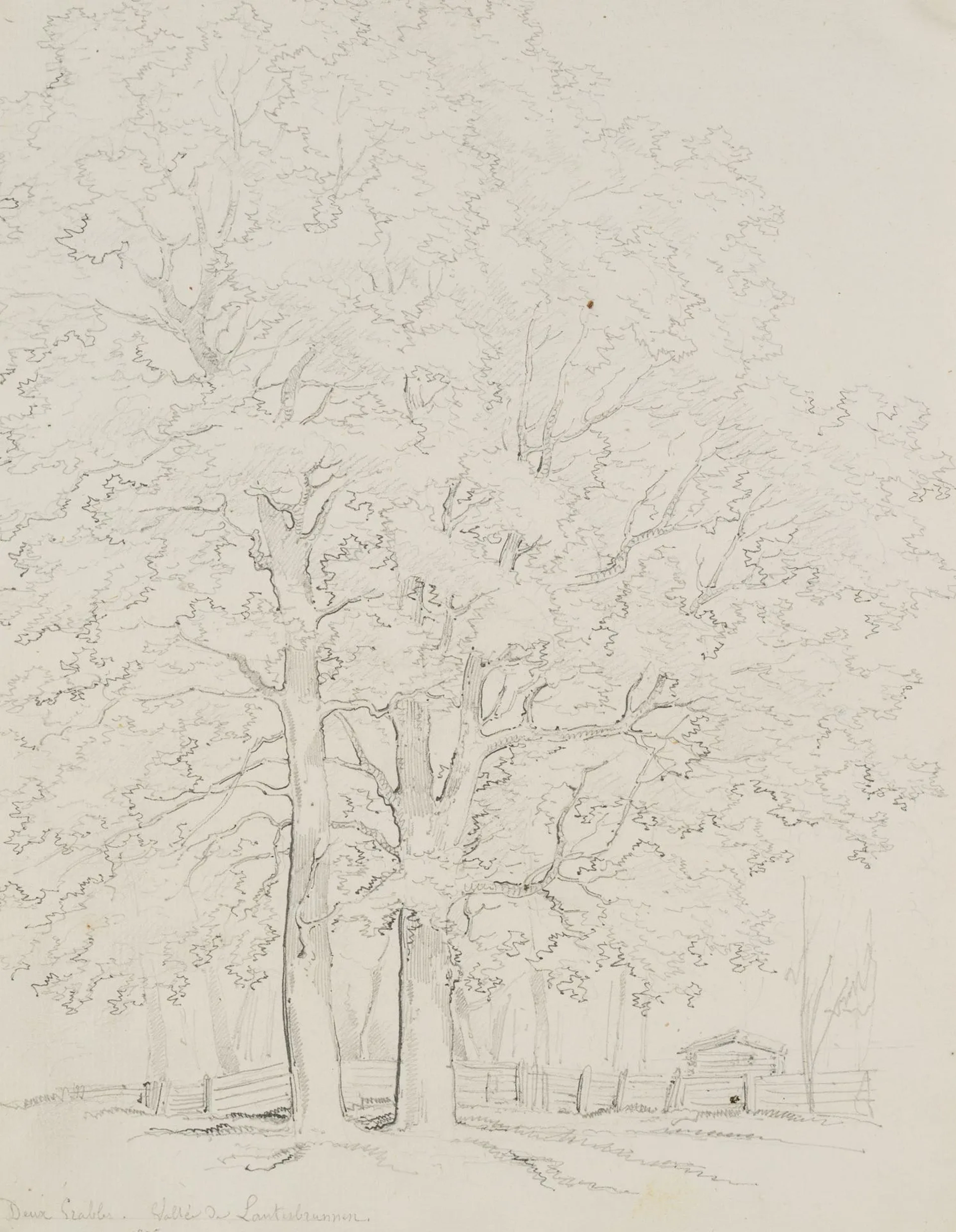 E. BRETENIÈRES (*1804), Trees in the Lauterbrunnen Valley, Switzerland
