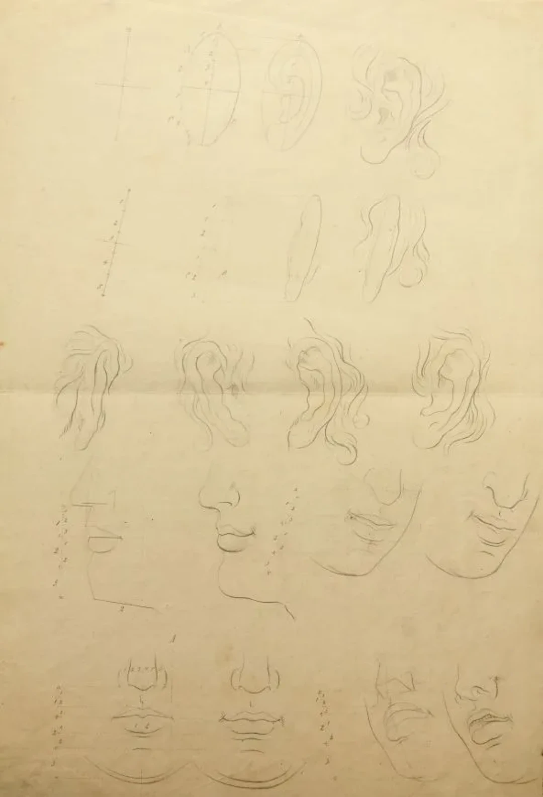 F. MEYER (1807-1882), Studies, human physiognomy, Pencil Friedrich