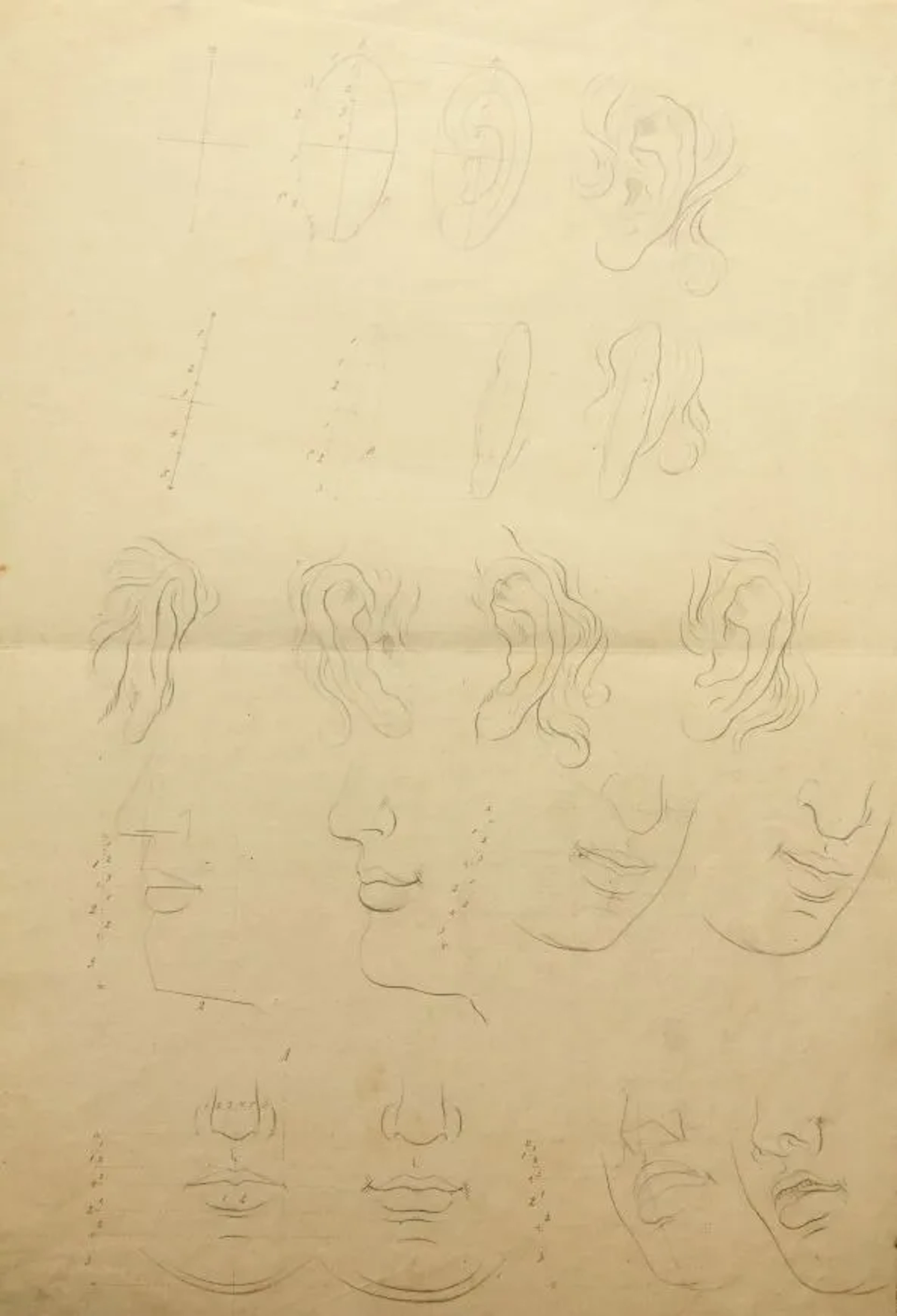 F. MEYER (1807-1882), Studies, human physiognomy, Pencil Friedrich