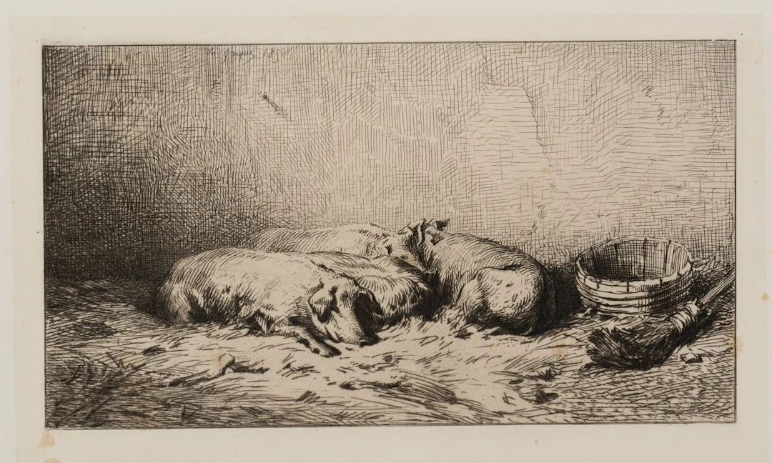 C. JACQUE (1813–1894), Pigs Resting in the Sty, ca. 1850, Etching