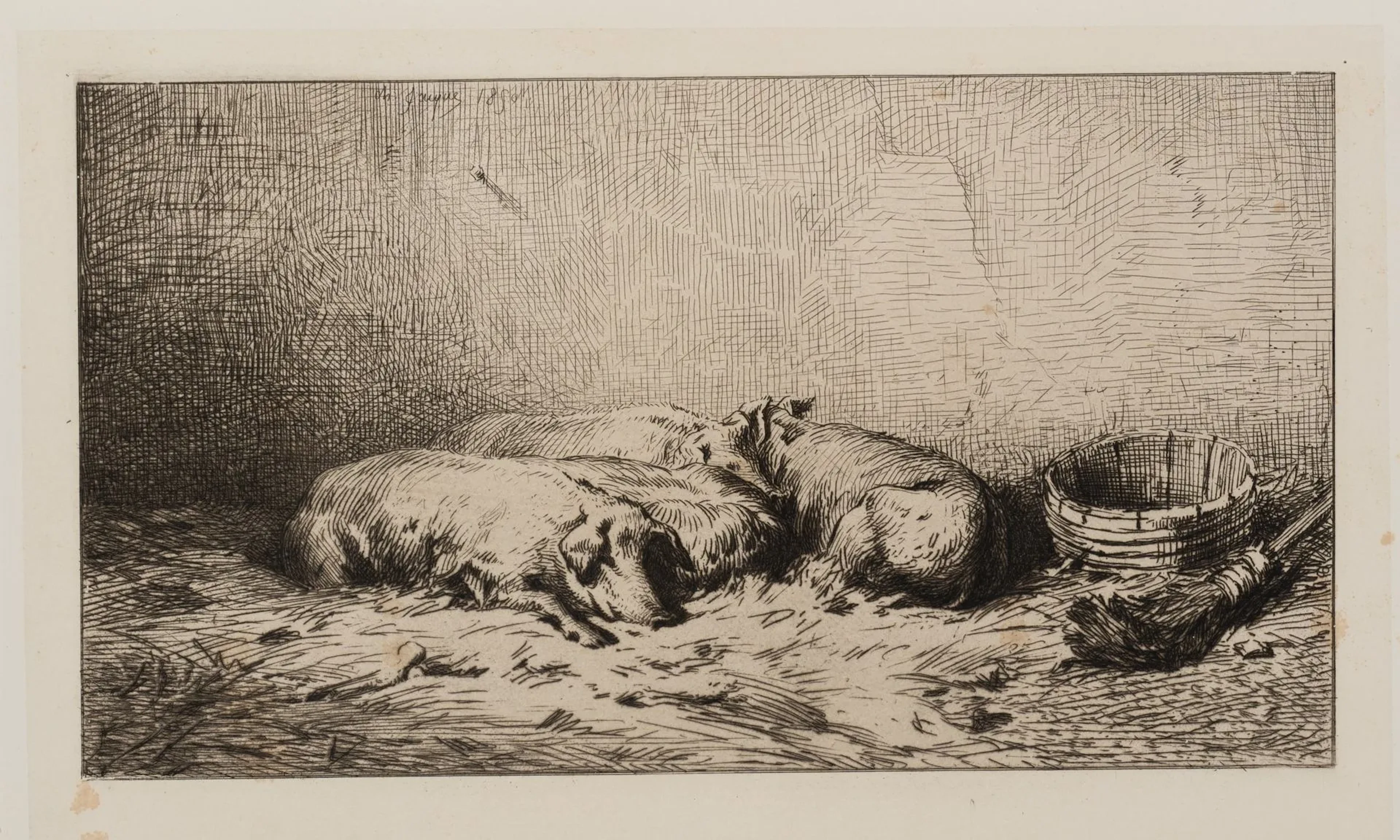 C. JACQUE (1813–1894), Pigs Resting in the Sty, ca. 1850, Etching