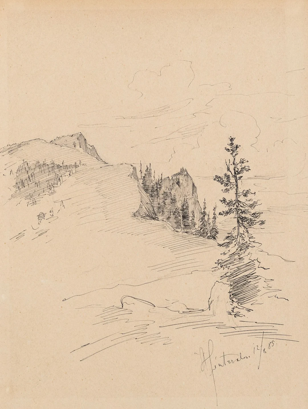 Unknown (19th), Mountain landscape with fir trees, 1885, Pen drawing