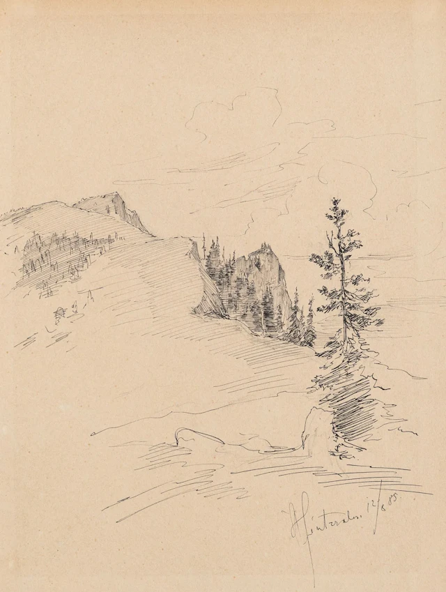 Unknown (19th), Mountain landscape with fir trees, 1885, Pen drawing