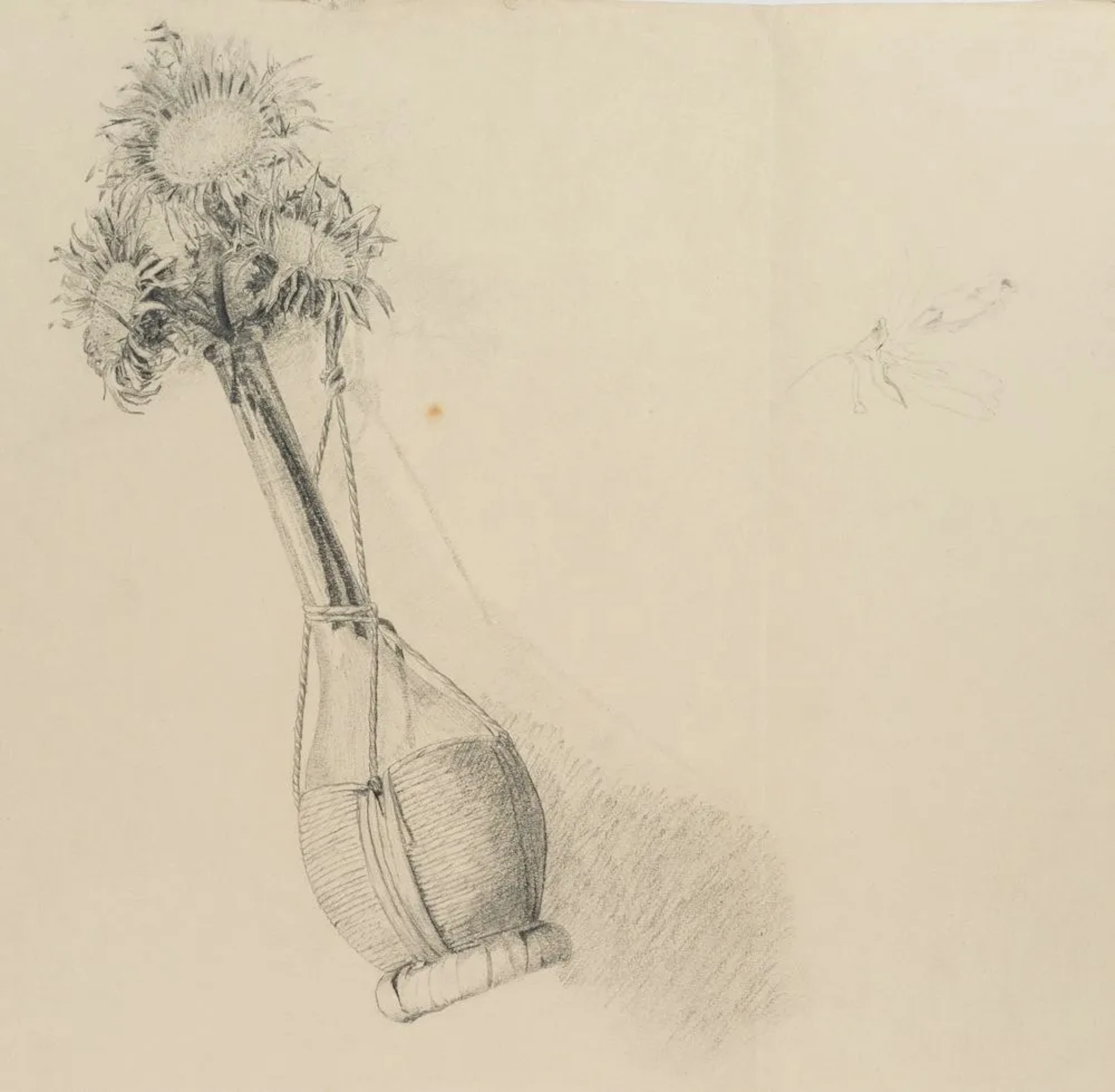 Unknown (19th century), Wildflowers in Bloom, Pencil Unknown (19th