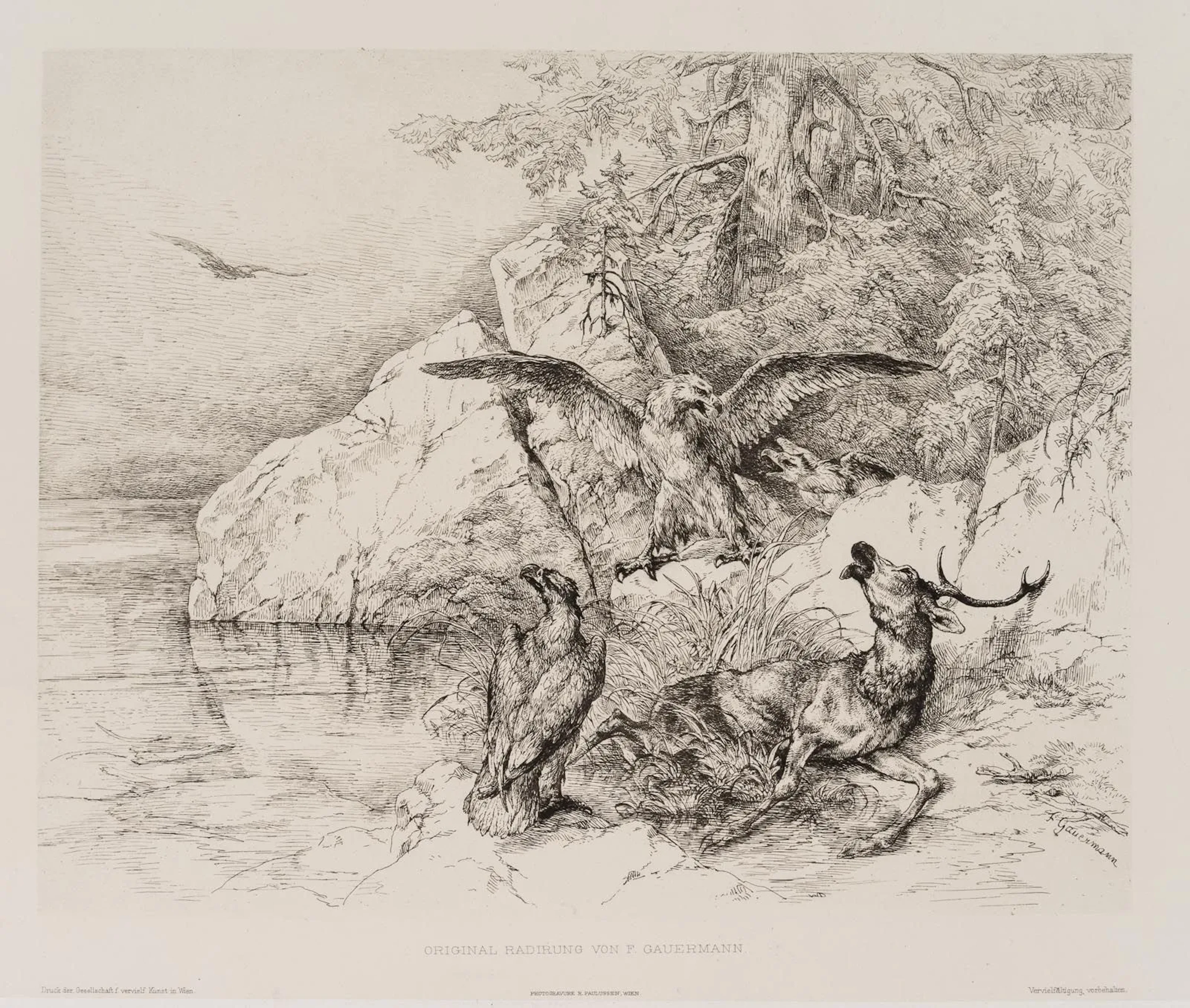F. GAUERMANN (*1807), Golden Eagle Near a Dead Deer, around 1832