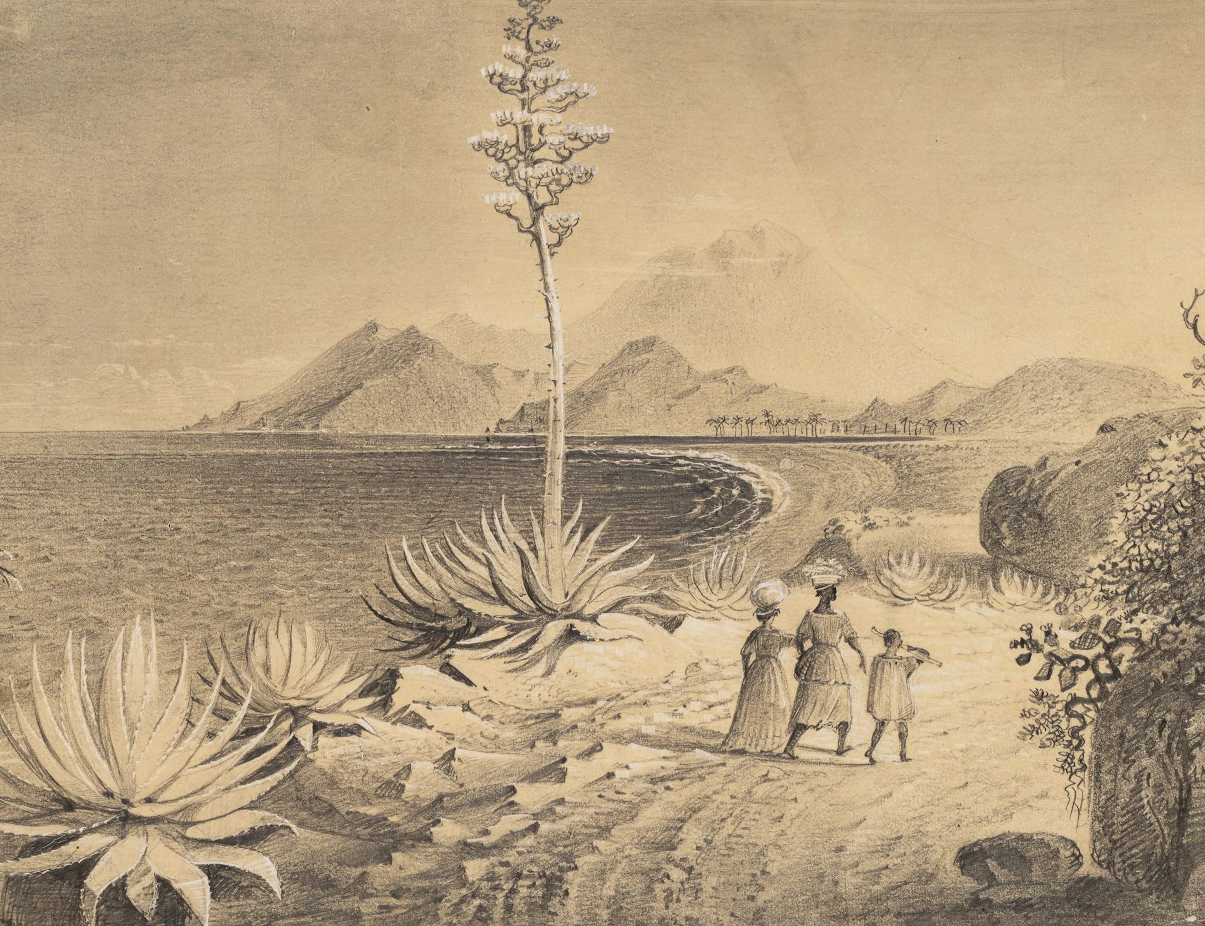 Unknown (19th century), A Sea Cove with Flowering Agave and Women
