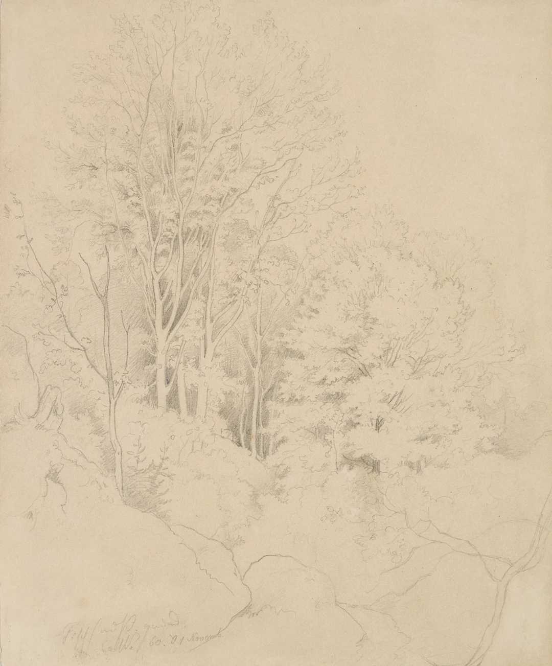 C. MÜLLER (1839-1904), View of a small wood on a hillside, 1860, Pencil