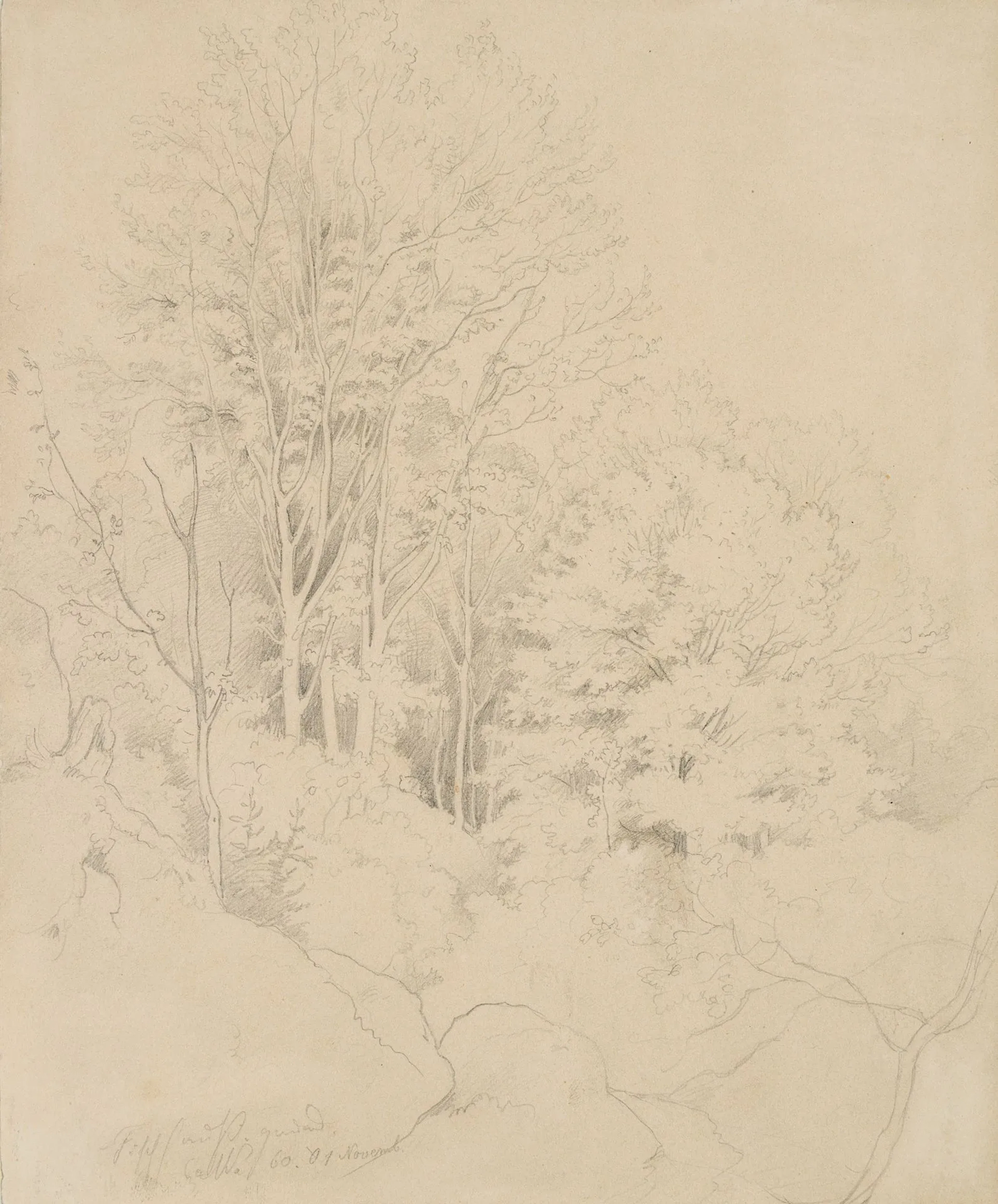 C. MÜLLER (1839-1904), View of a small wood on a hillside, 1860, Pencil