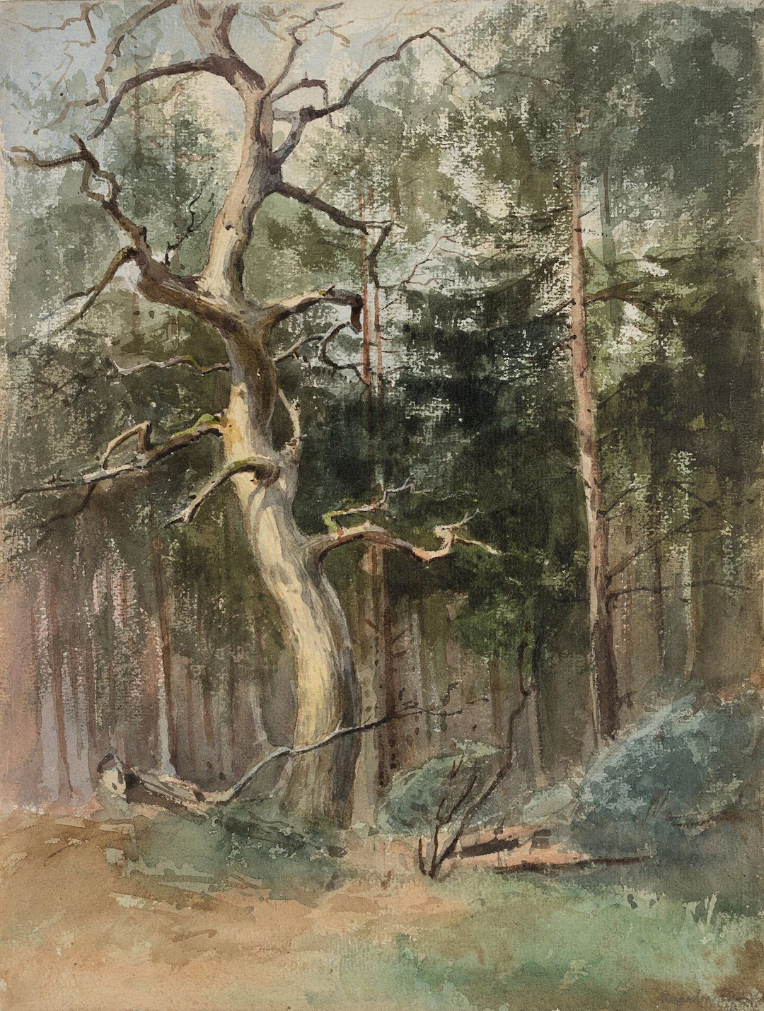 H. BARTELS (1856–1913), A Bare Tree in a Clearing, Watercolor Hans
