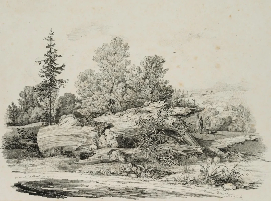 C. LEBSCHÉE (1800–1877), A Patch of Meadow with a Gnarled Tree, 1829