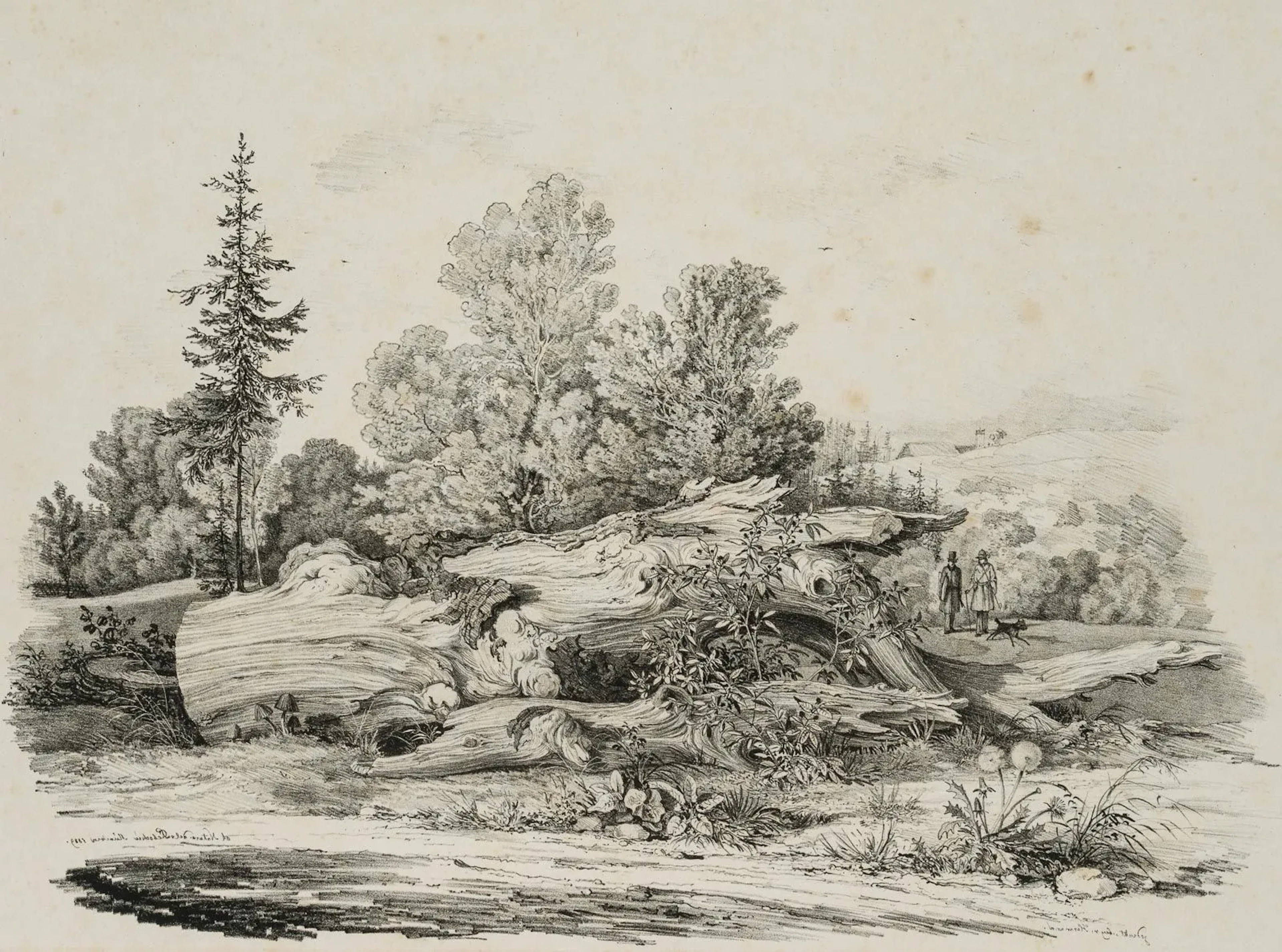C. LEBSCHÉE (1800–1877), A Patch of Meadow with a Gnarled Tree, 1829