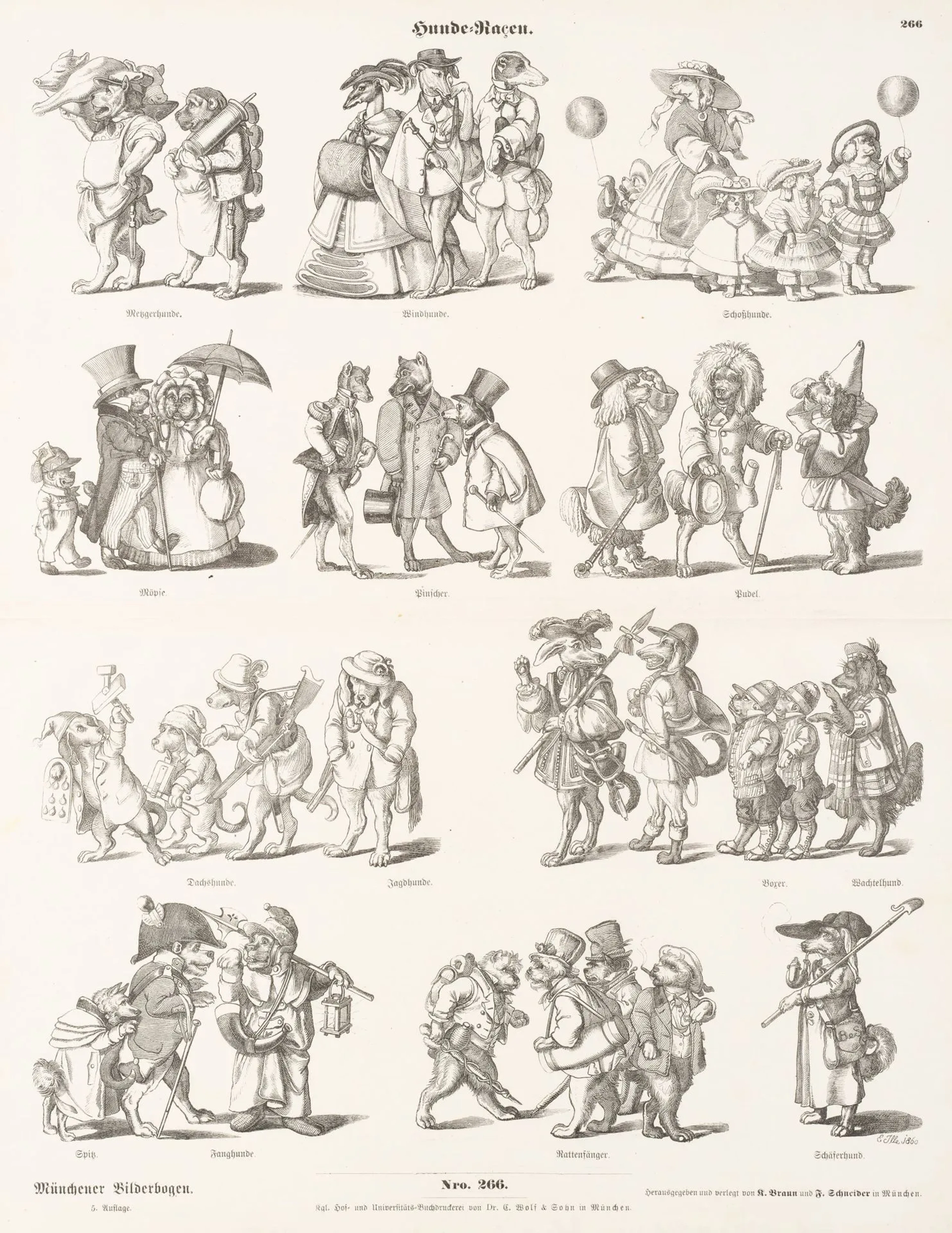 E. ILLE (1823–1900), Different Breeds of Dog, 1860, Wood engraving