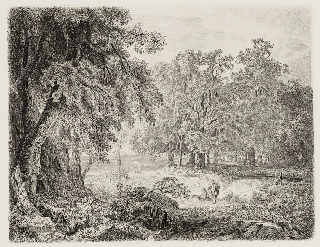 E. HUMMEL (*1812) after HUMMEL (*1821), Forest Walk, circa 1855, etching