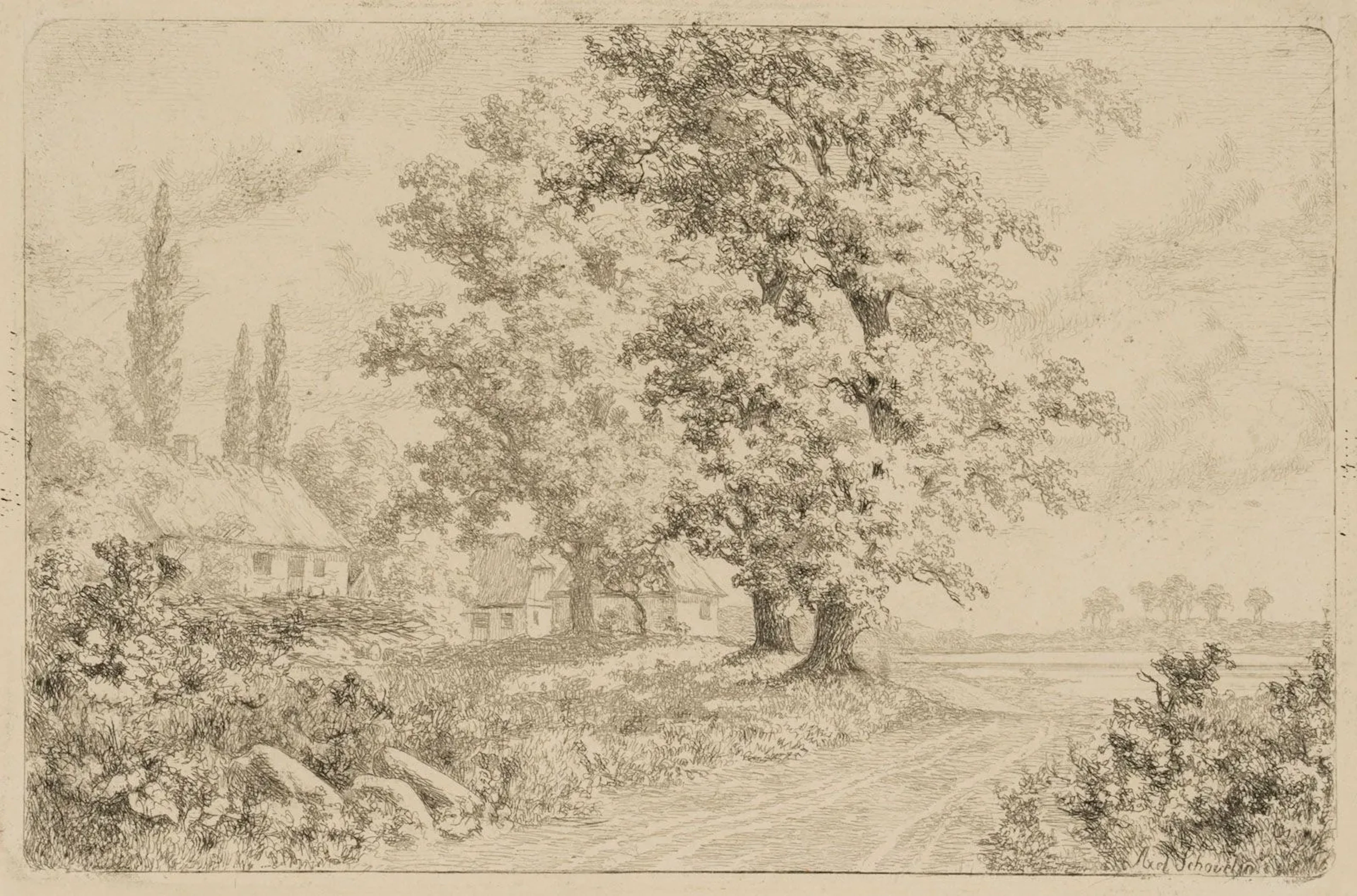 A. SCHOVELIN (*1827), Old Oak Trees on Skaridsö, Etching Axel Thorsen