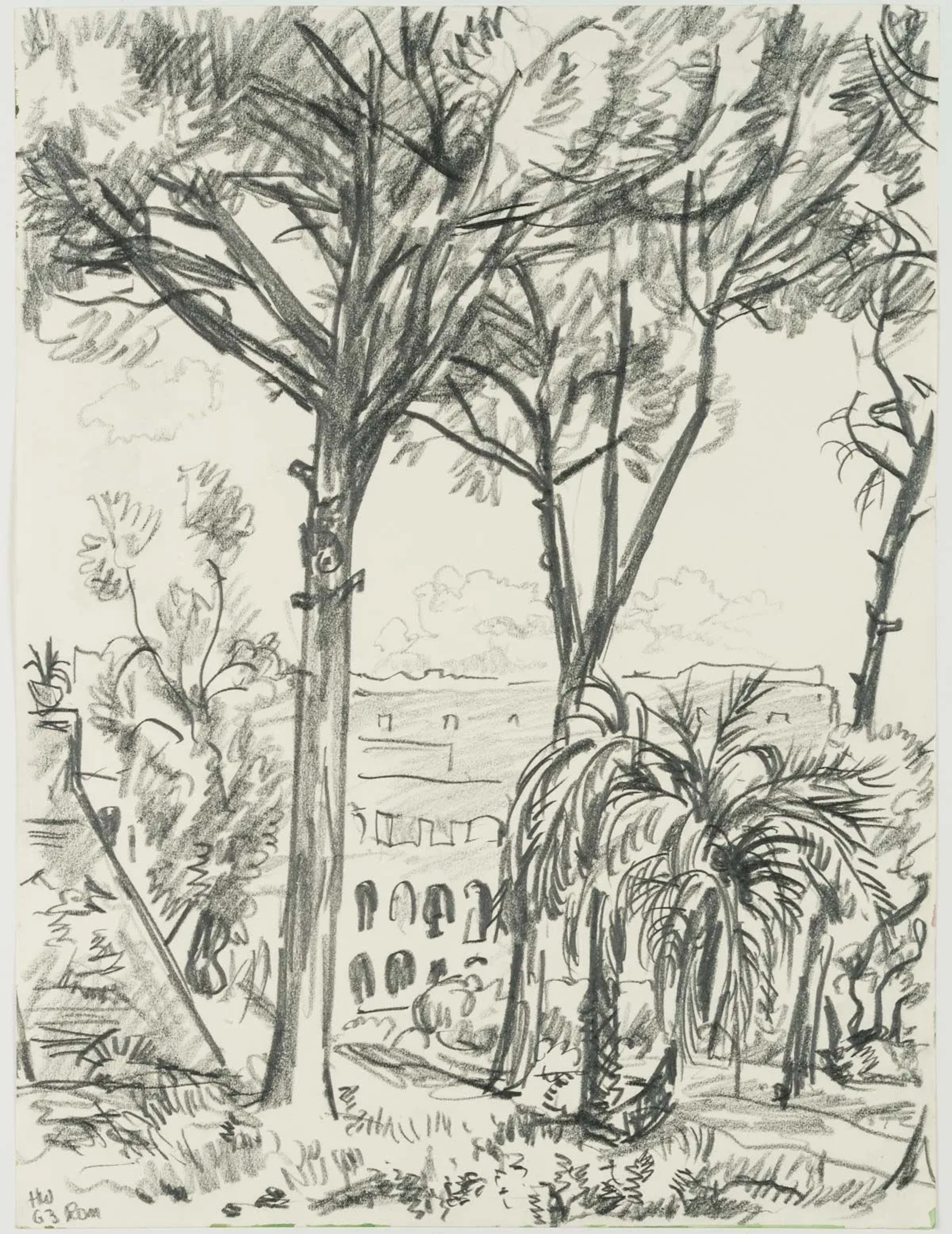 H. WINGLER (1896-1981), View of the Colosseum from the Palatine Hill