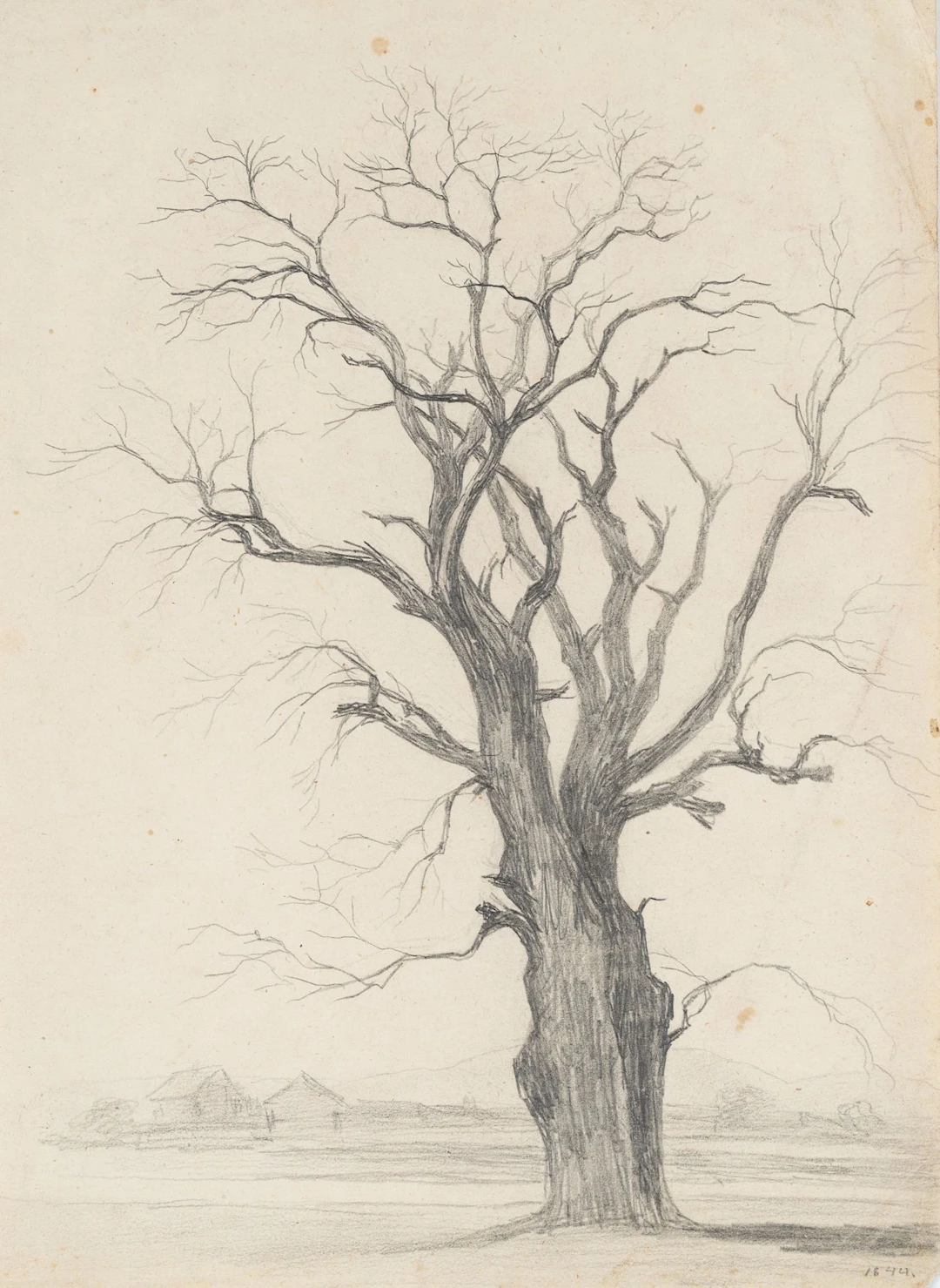 Unknown (19th century), Bare Tree, 1844, Unknown (19th century): Bare