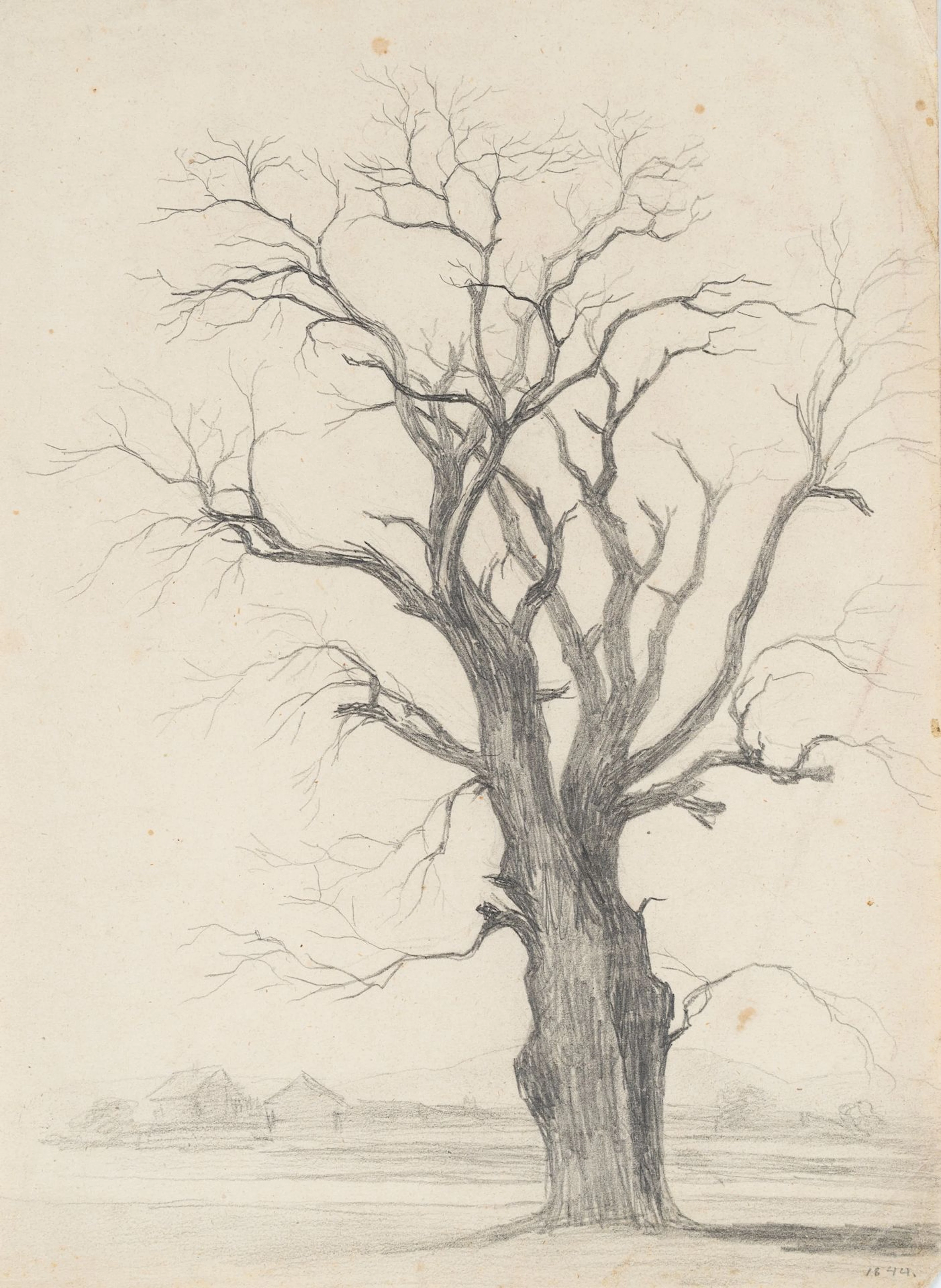 Unknown (19th century), Bare Tree, 1844, Unknown (19th century): Bare
