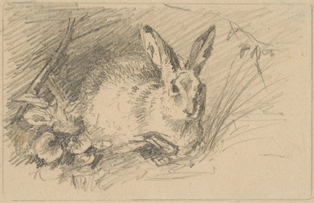 J. WEGENER (1812–1879), A Hare in the Grass, Pencil Johann Friedrich