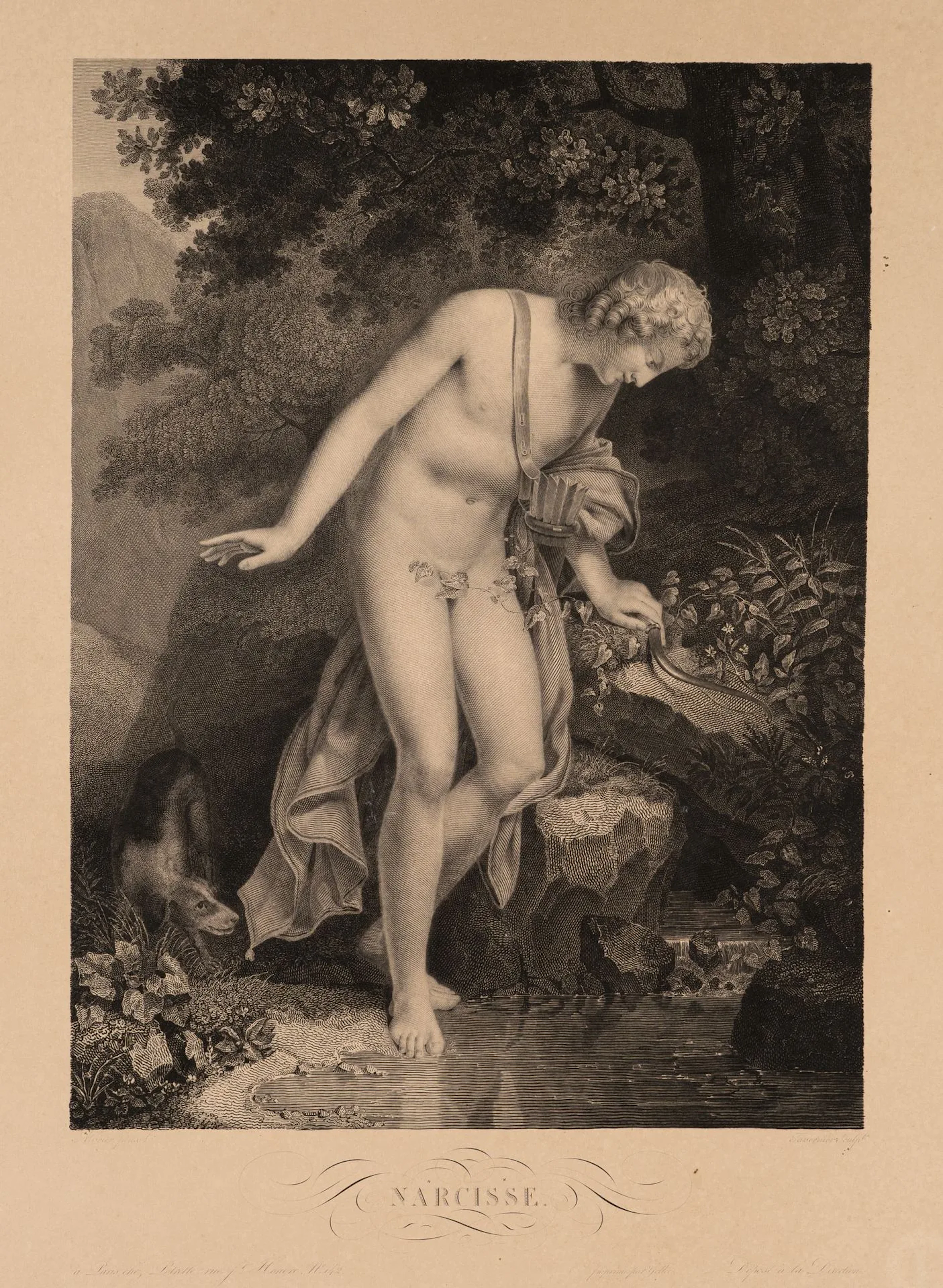 P. TAVERNIER (*1787) after ALBRIER (*1791), Daffodil by the Spring