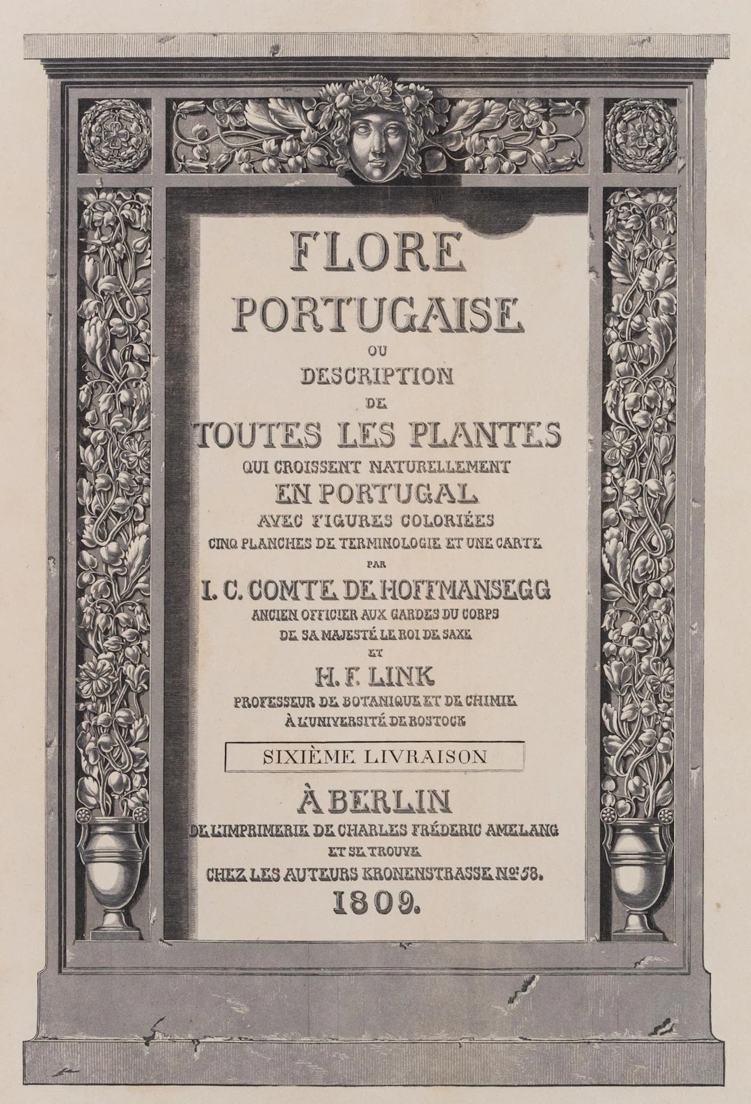 Unknown (19th century), Title page of *Flore Portugaise*, 1809, Lithograph