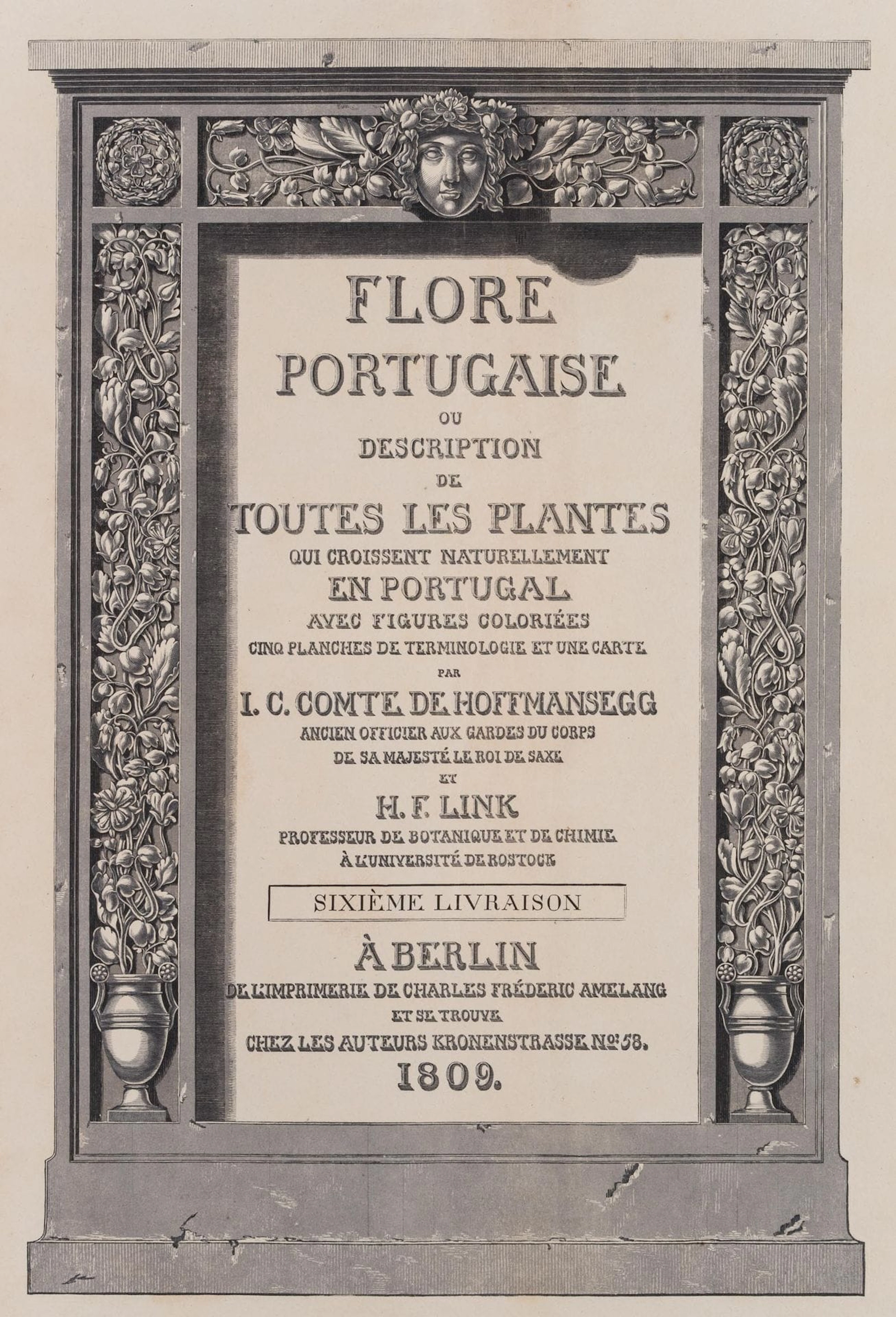 Unknown (19th century), Title page of *Flore Portugaise*, 1809, Lithograph