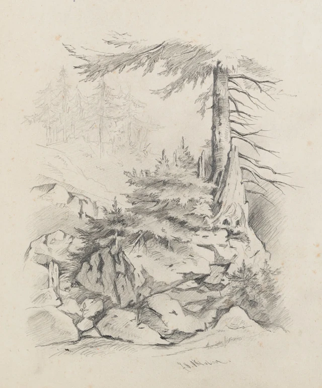 H. FRITZ (19th), Fir trees on a rocky slope, 1878, Pencil Heinrich