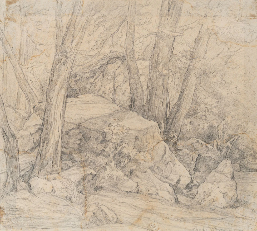 Unknown (19th century), Rocks in the Forest, Unknown (19th century):