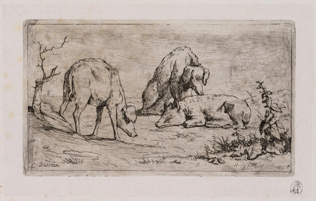 E. DESSAIN (1808–1882), Study sheet featuring three pigs, etching