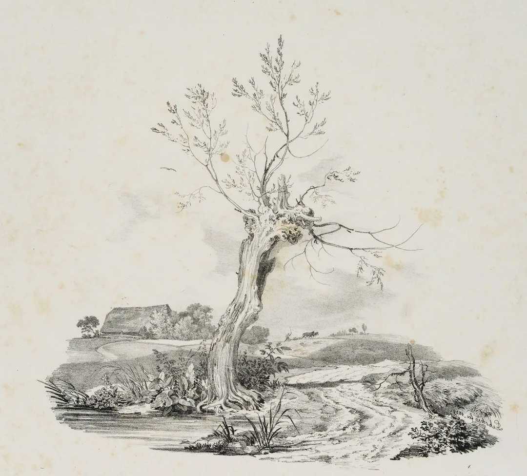 C. LEBSCHÉE (1800–1877), Landscape Study with a Bare Tree, 1829, Lithograph