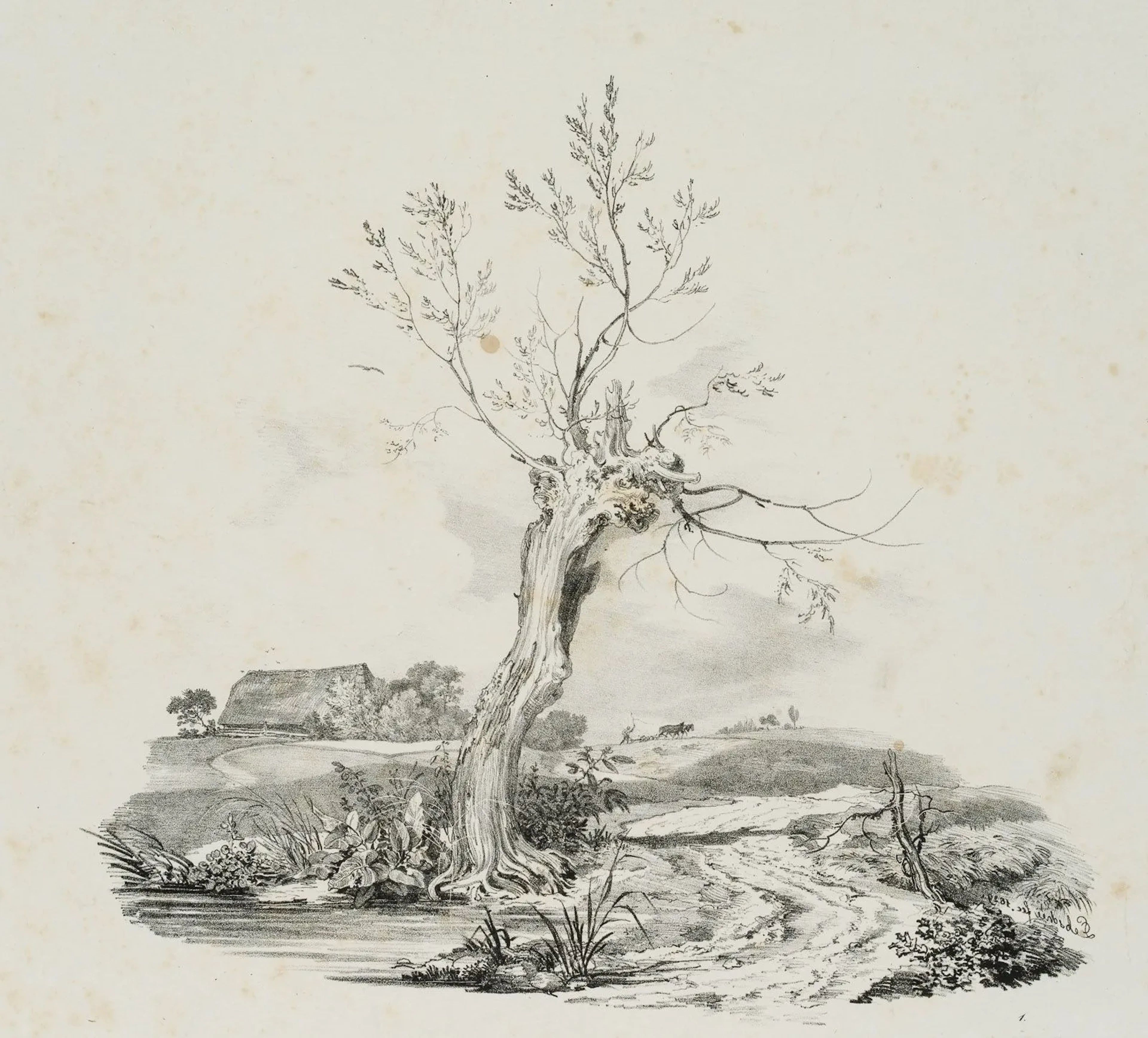 C. LEBSCHÉE (1800–1877), Landscape Study with a Bare Tree, 1829, Lithograph