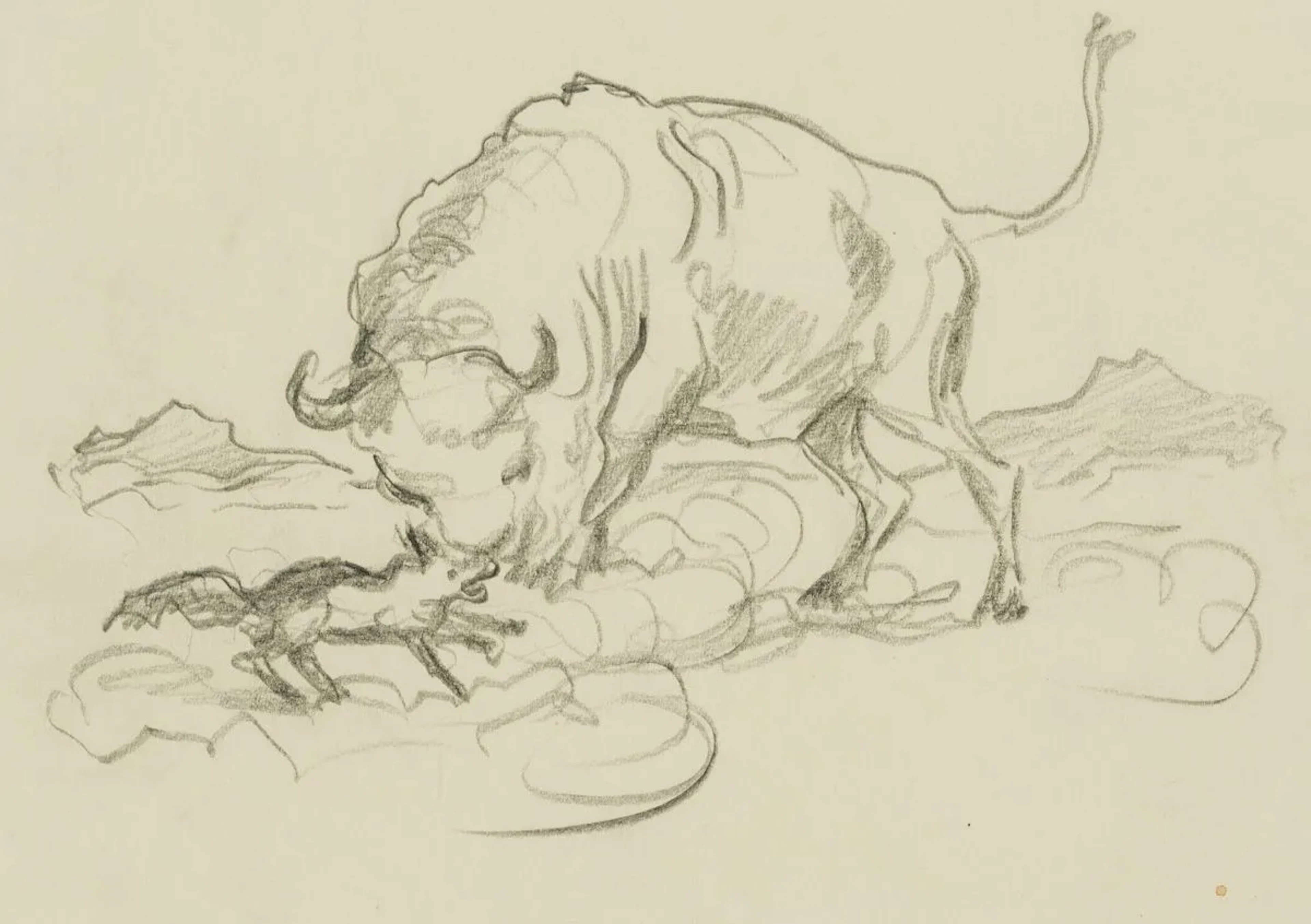 R. DUSCHEK (1884-1959), Depiction of an ox in battle, Pencil Richard