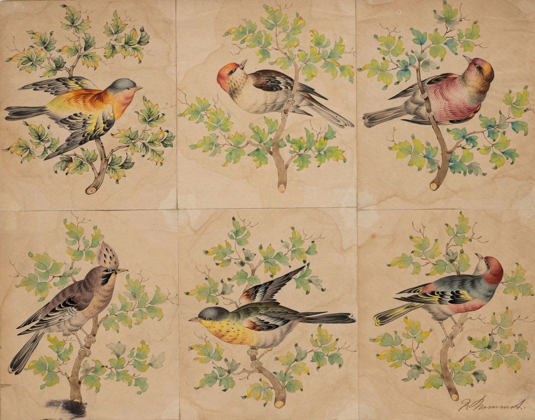 Unknown (19th century), Six Songbirds on Twigs, Watercolor Unknown