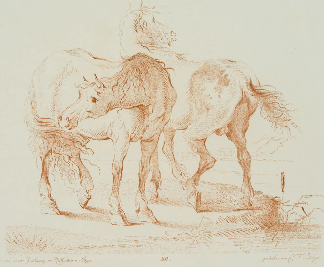 C. STÖLZEL (1751-1816), Horses in the pasture, Crayon manner Christian